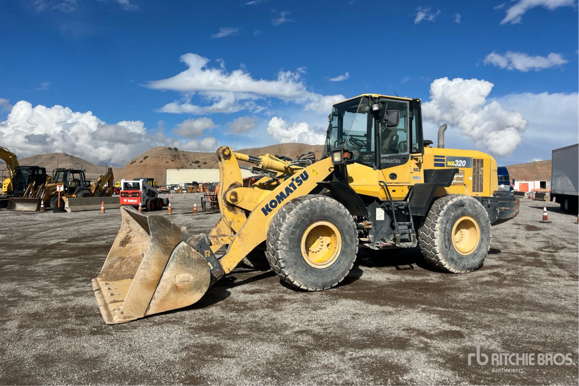 General Appearance with Spin