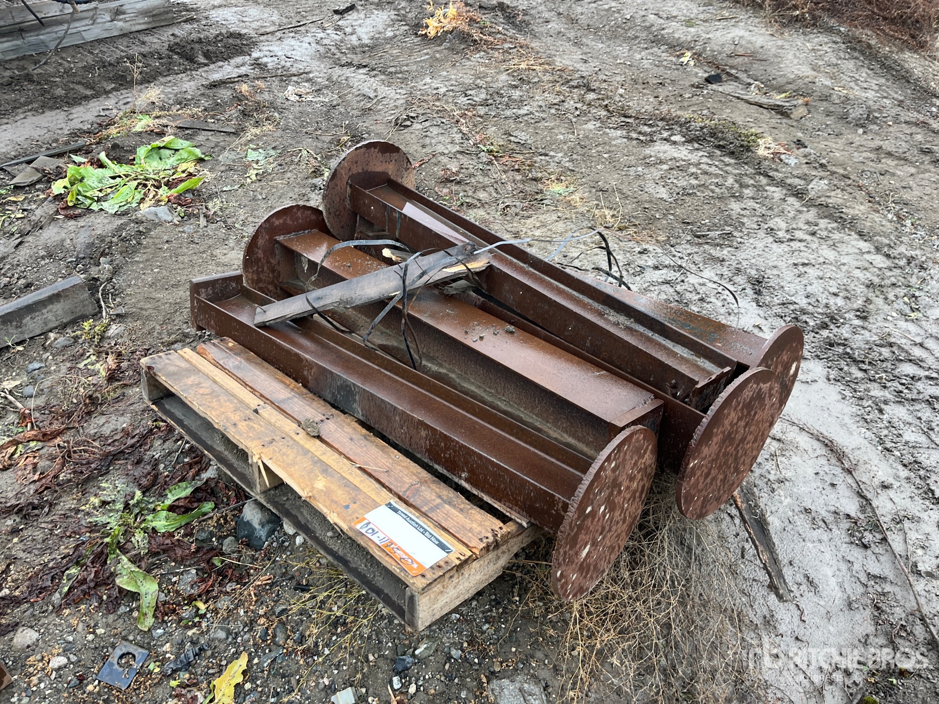 General Appearance with Bild, Ecke vorne links