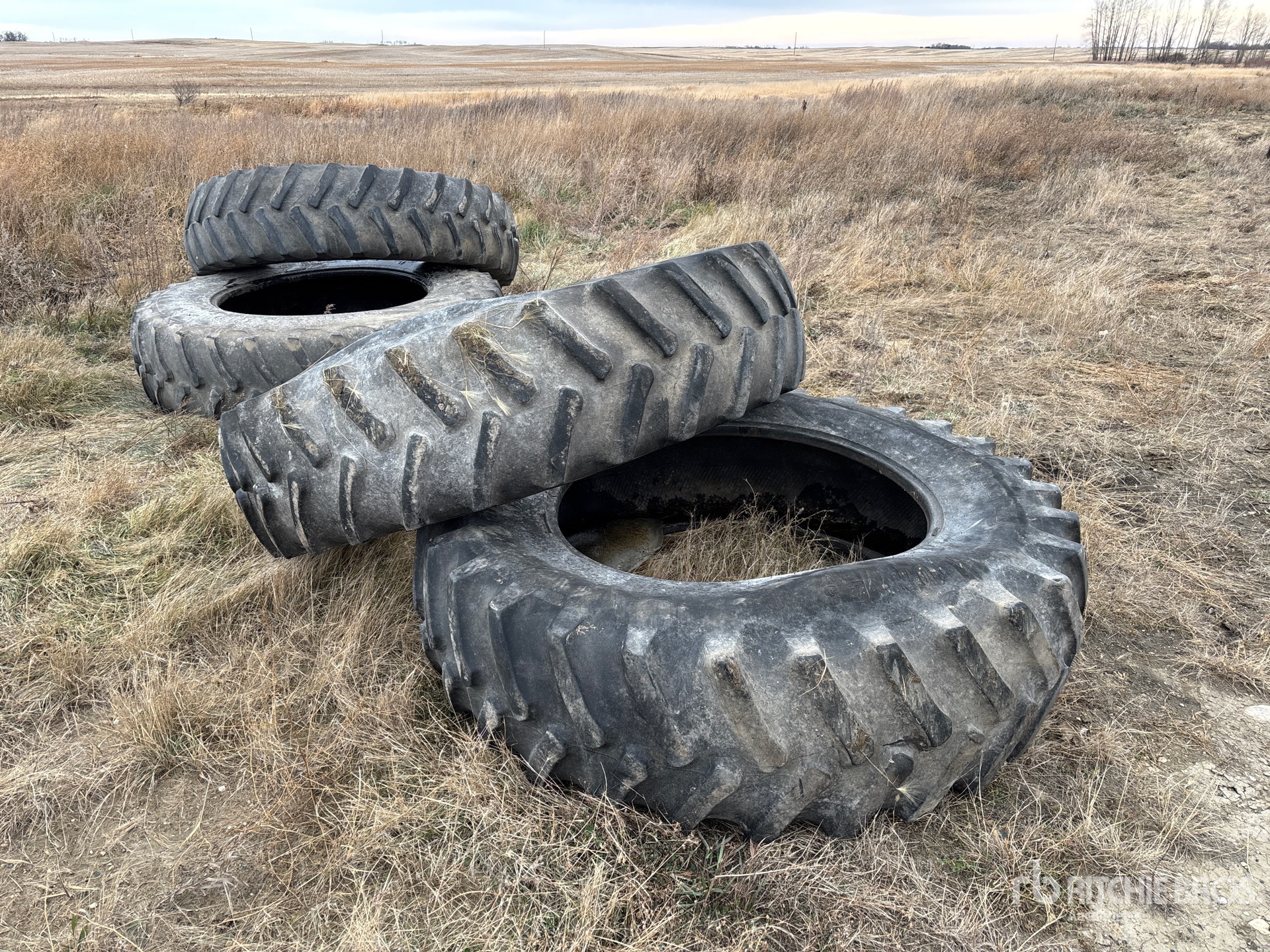 General Appearance with Bild, Ecke vorne links