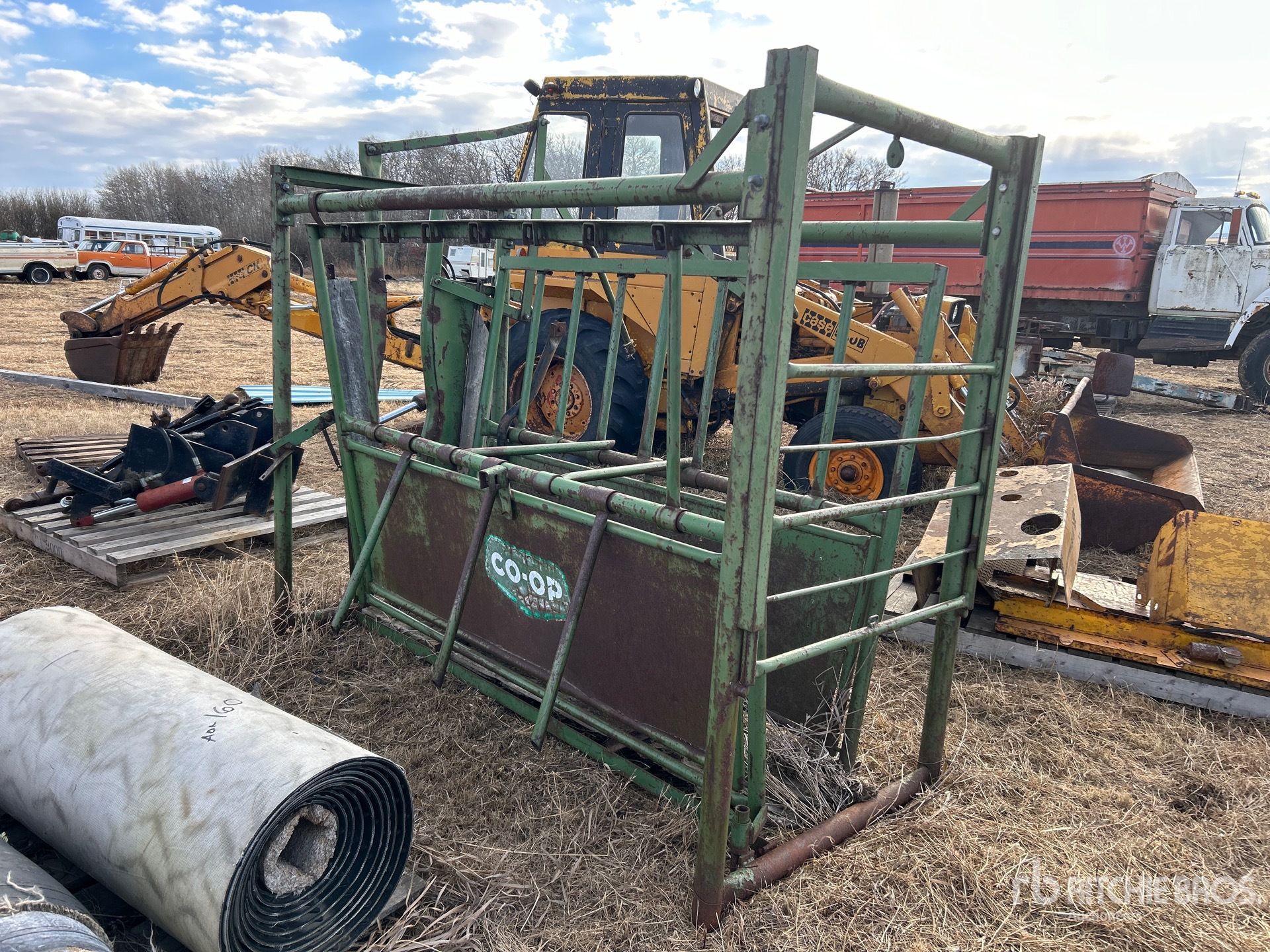 General Appearance with 