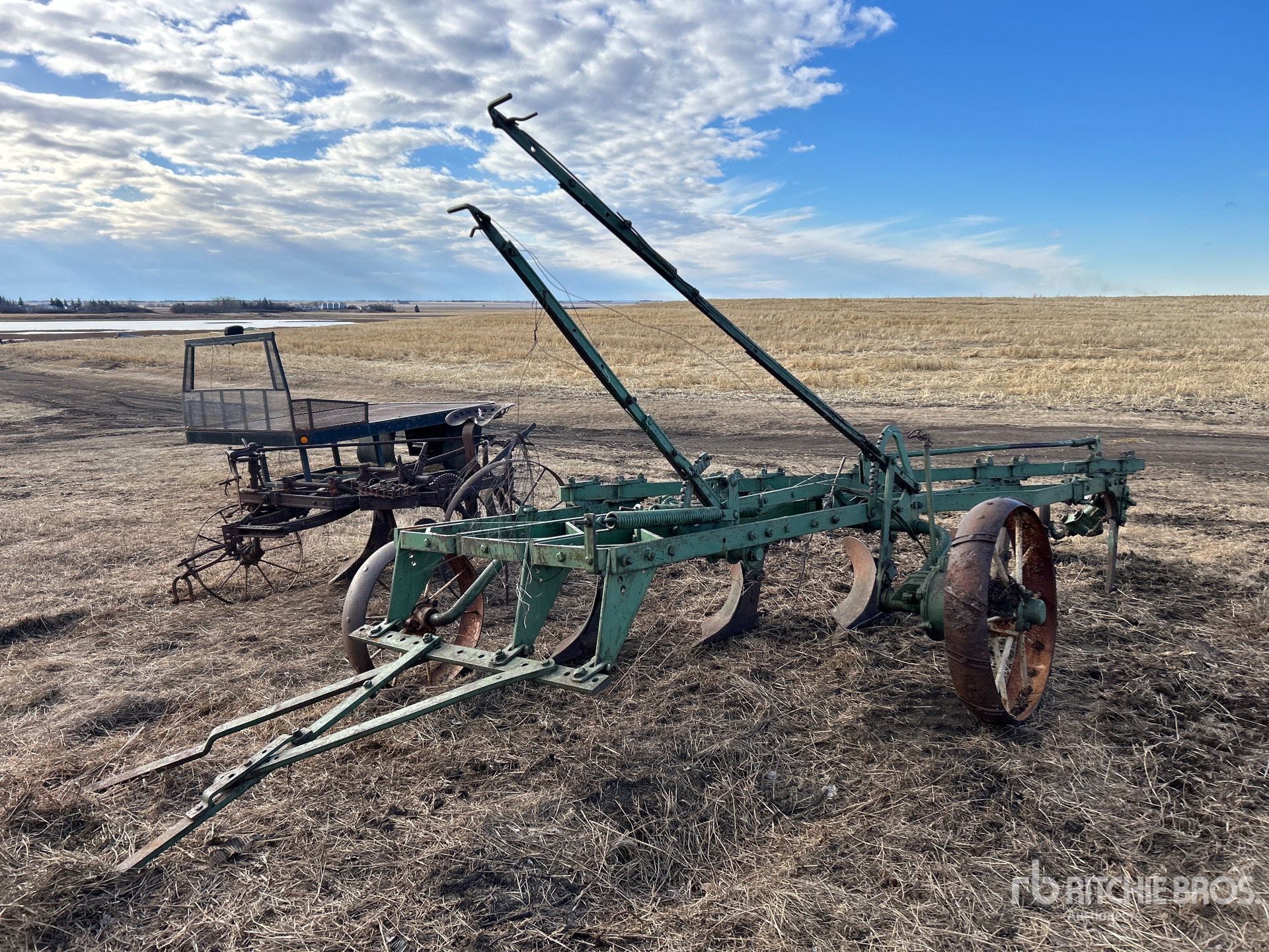 General Appearance with 