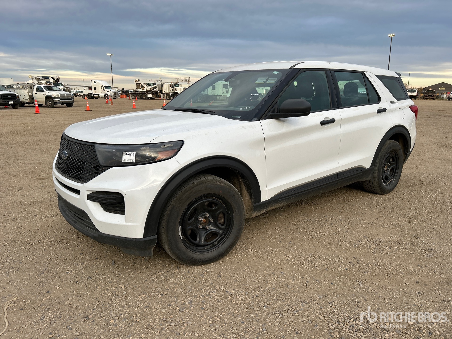 General Appearance with Spin