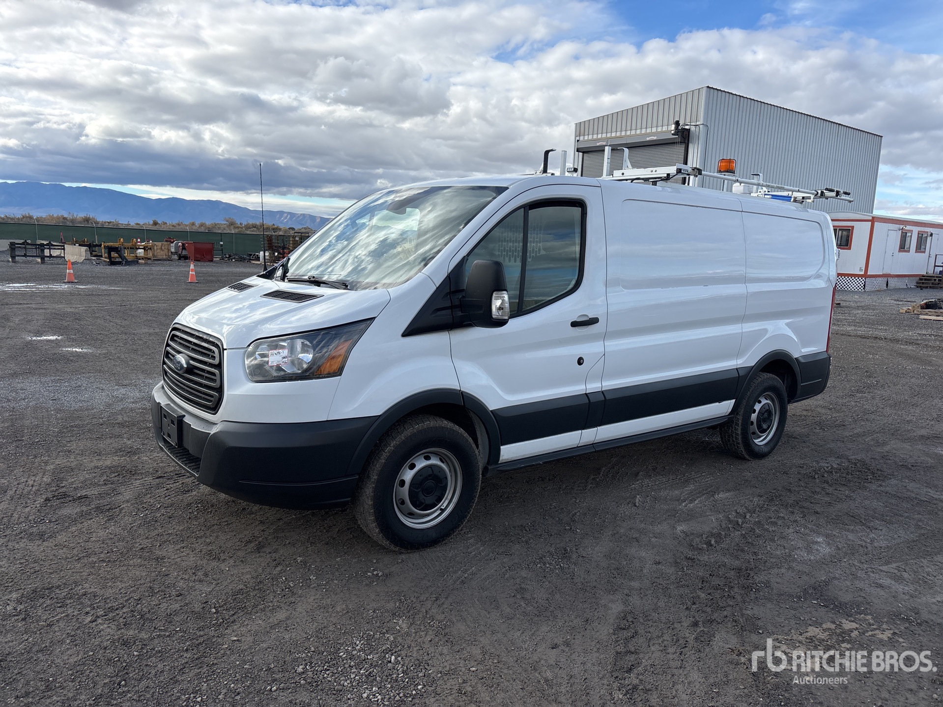 General Appearance with Spin