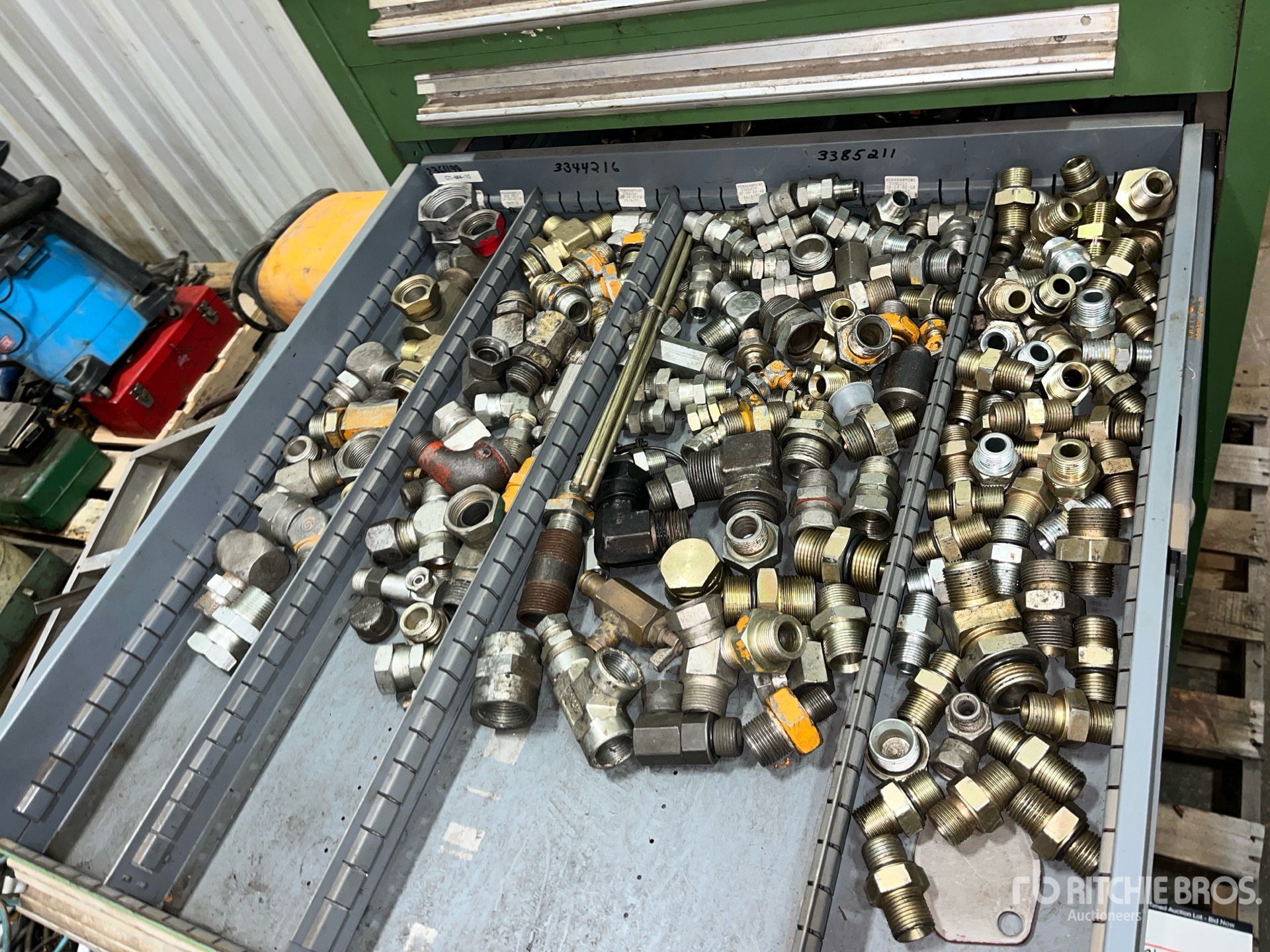 General Appearance with