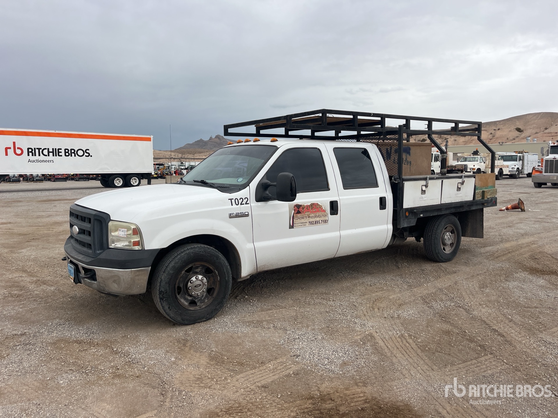 General Appearance with Spin