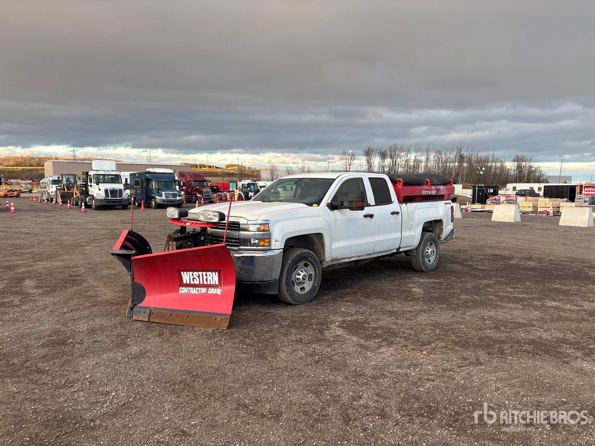 General Appearance with Spin