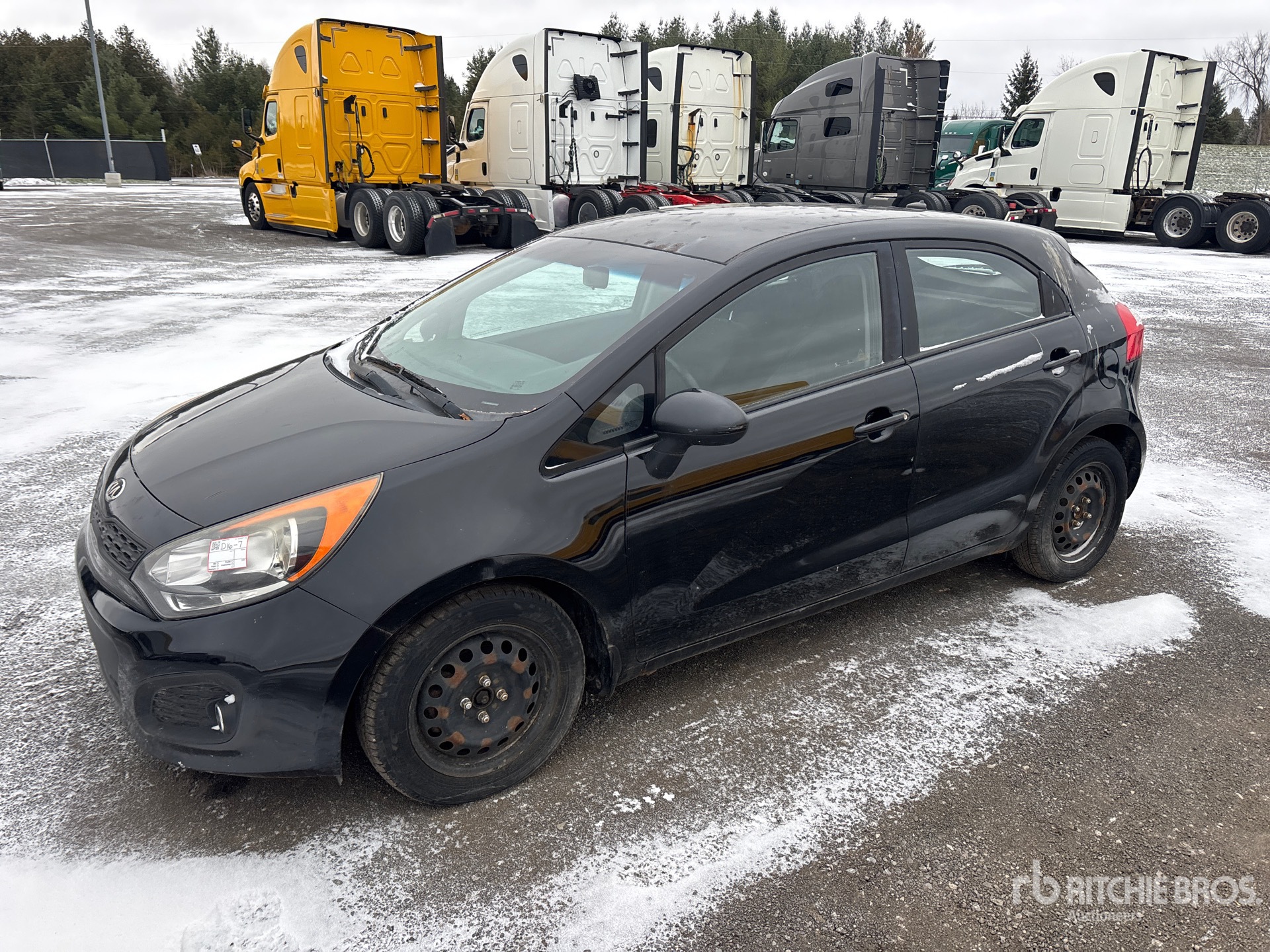 General Appearance with Spin