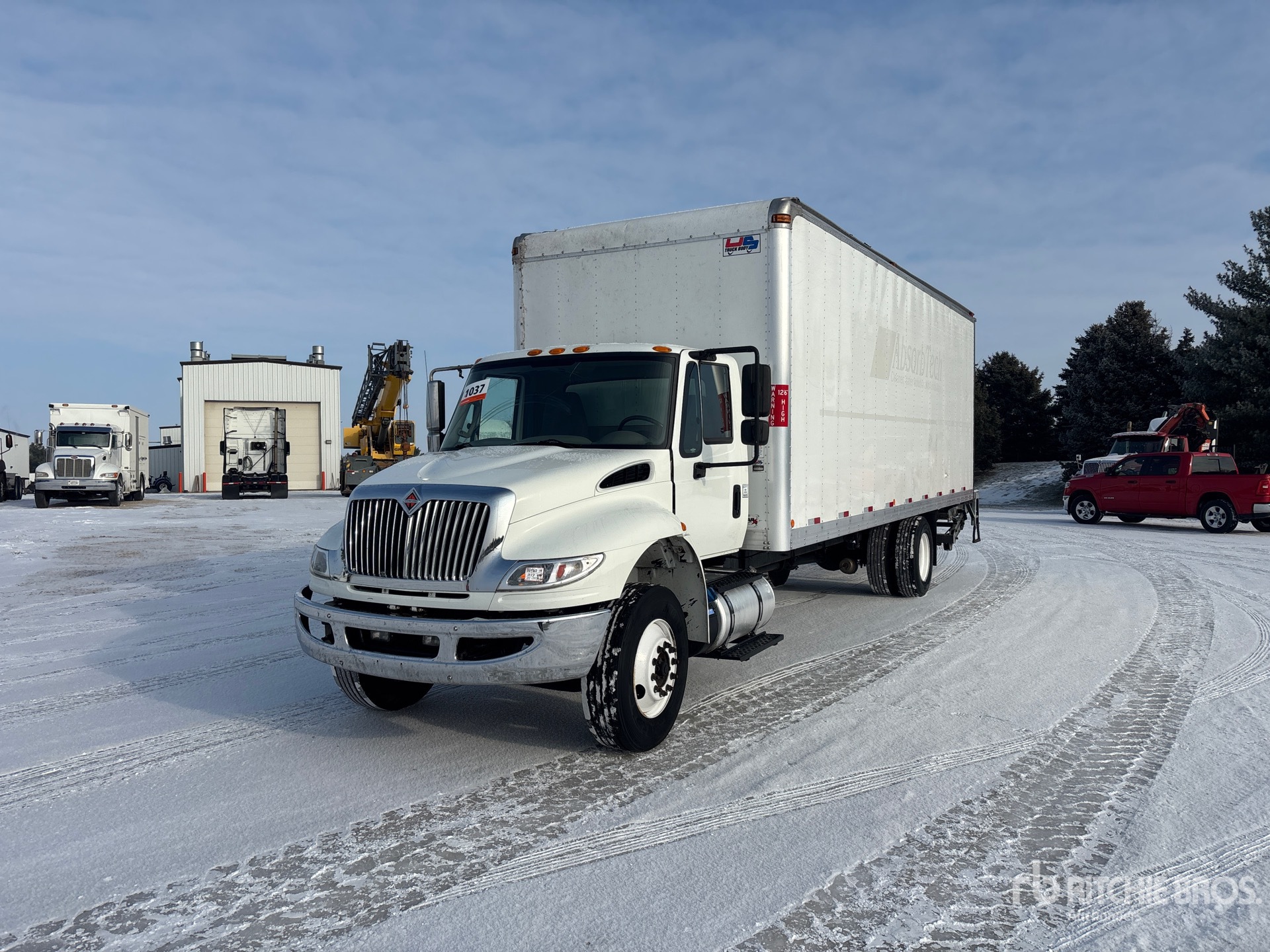 General Appearance with Spin