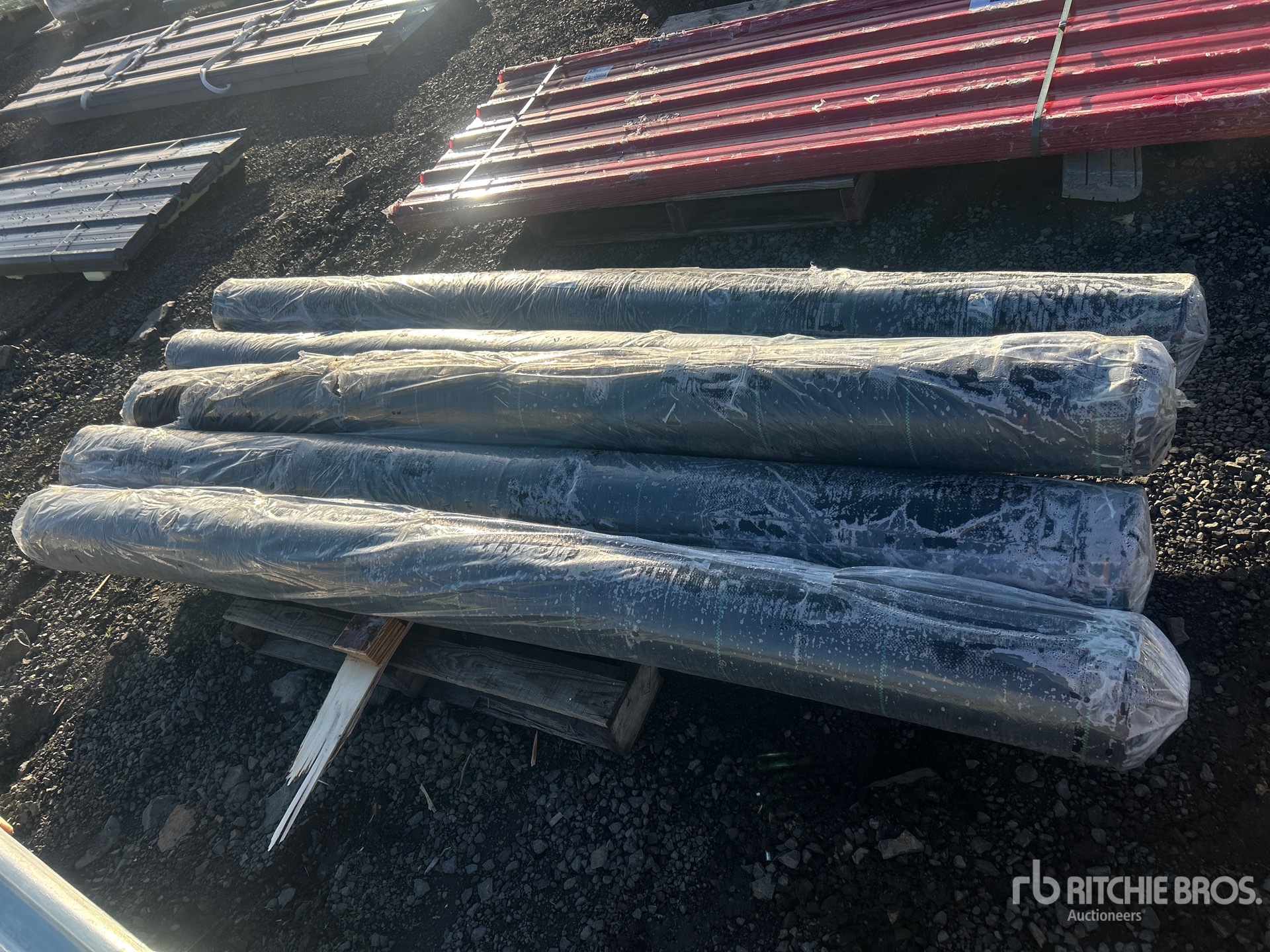 General Appearance with Bild, Ecke hinten links