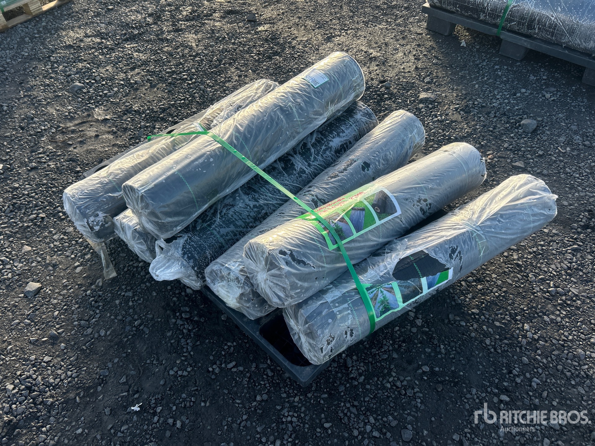 General Appearance with Bild, Ecke hinten rechts