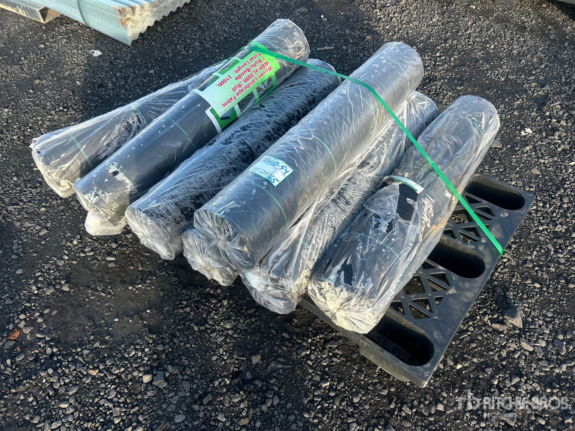 General Appearance with Bild, Ecke vorne links