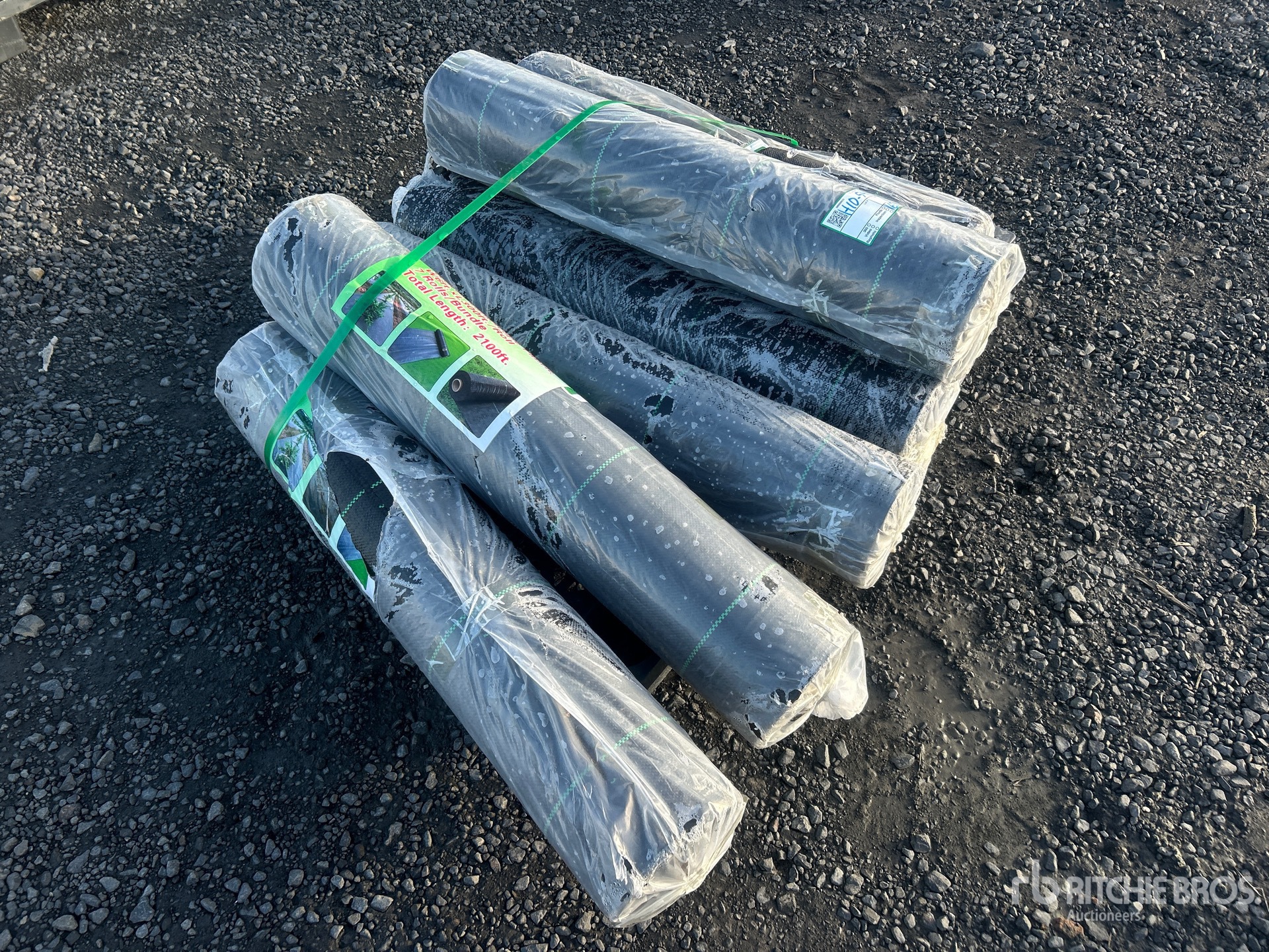 General Appearance with Bild, Ecke hinten links