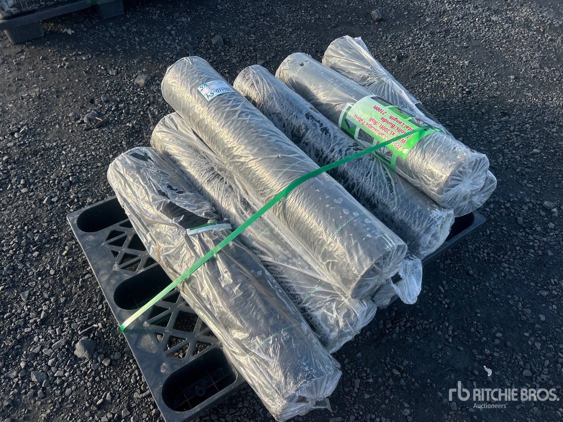 General Appearance with Bild, Ecke vorne rechts