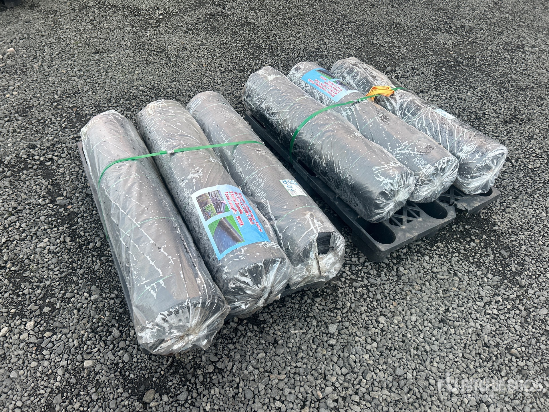 General Appearance with Bild, Ecke vorne links