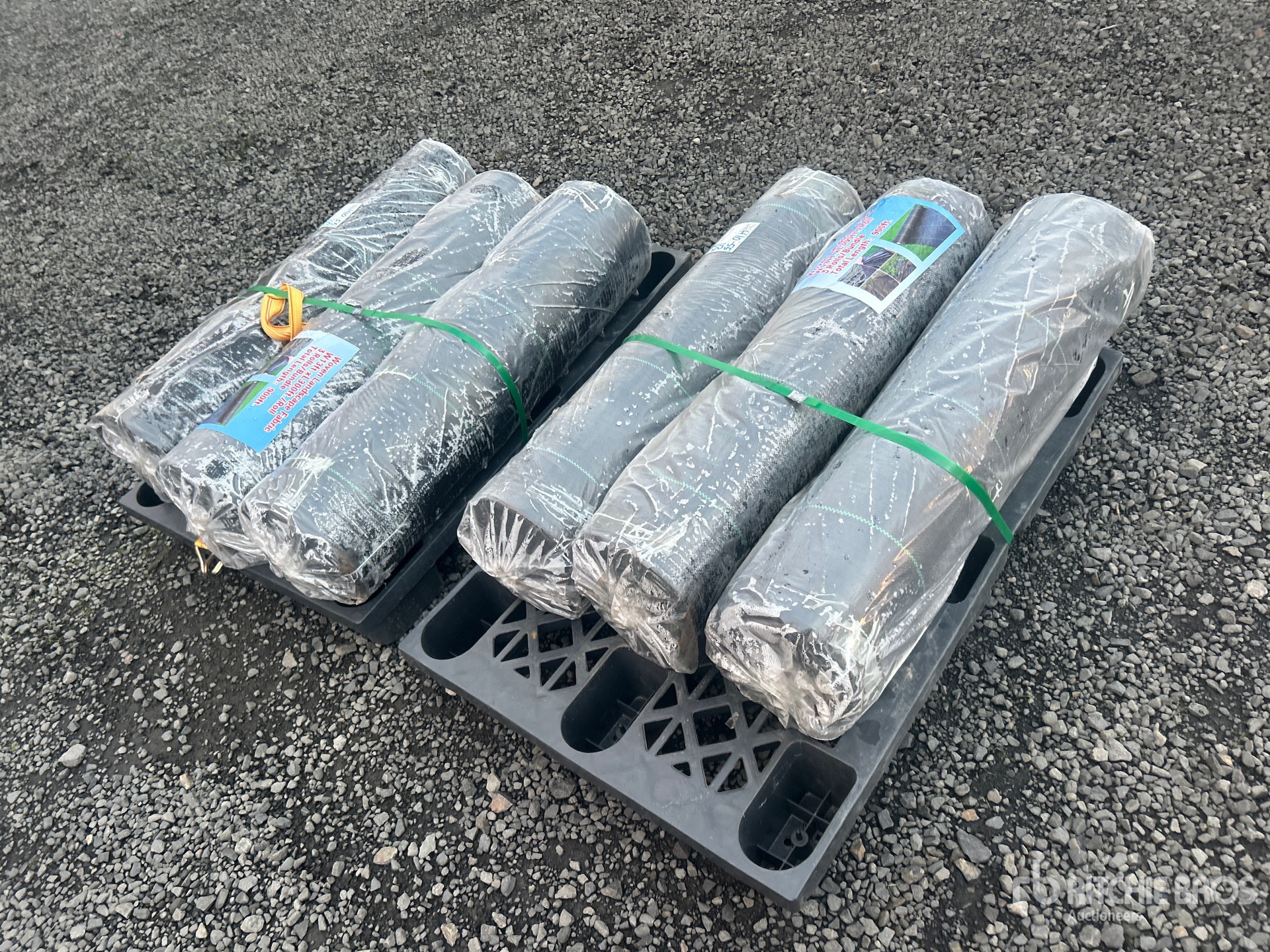 General Appearance with Bild, Ecke hinten links