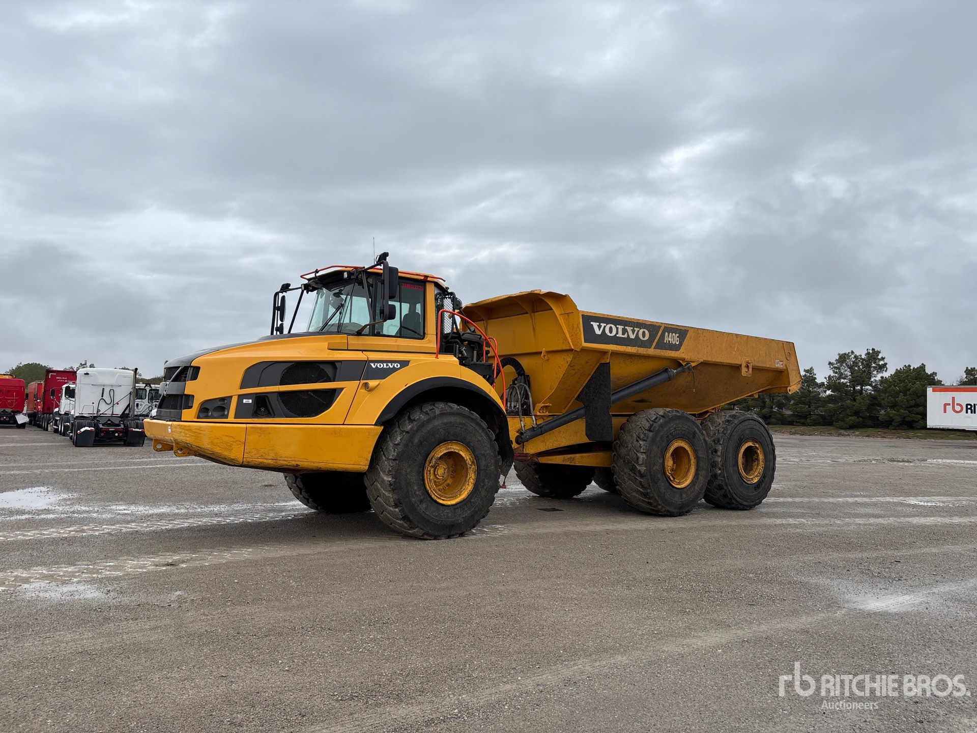 General Appearance with Spin