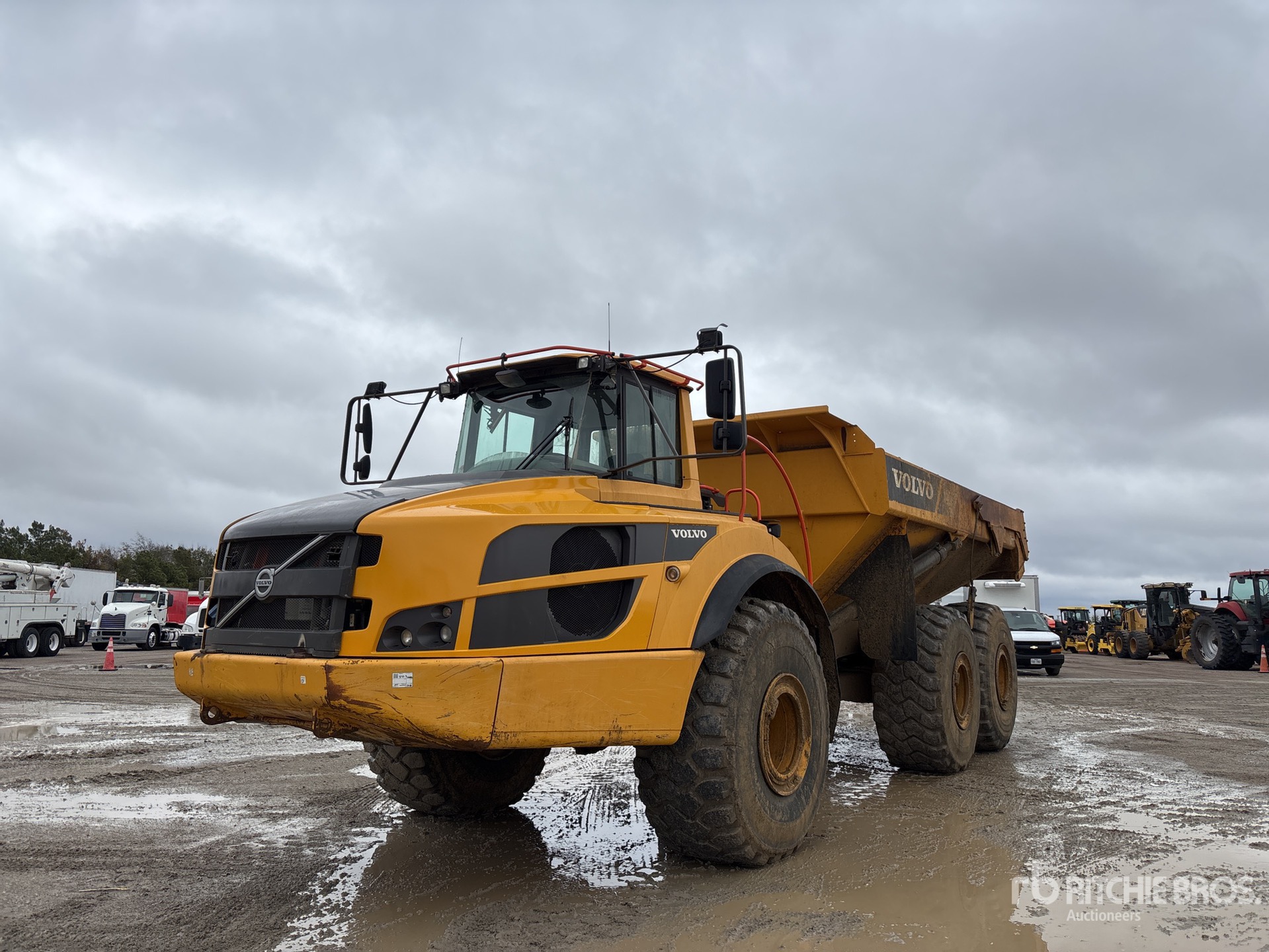 General Appearance with Spin