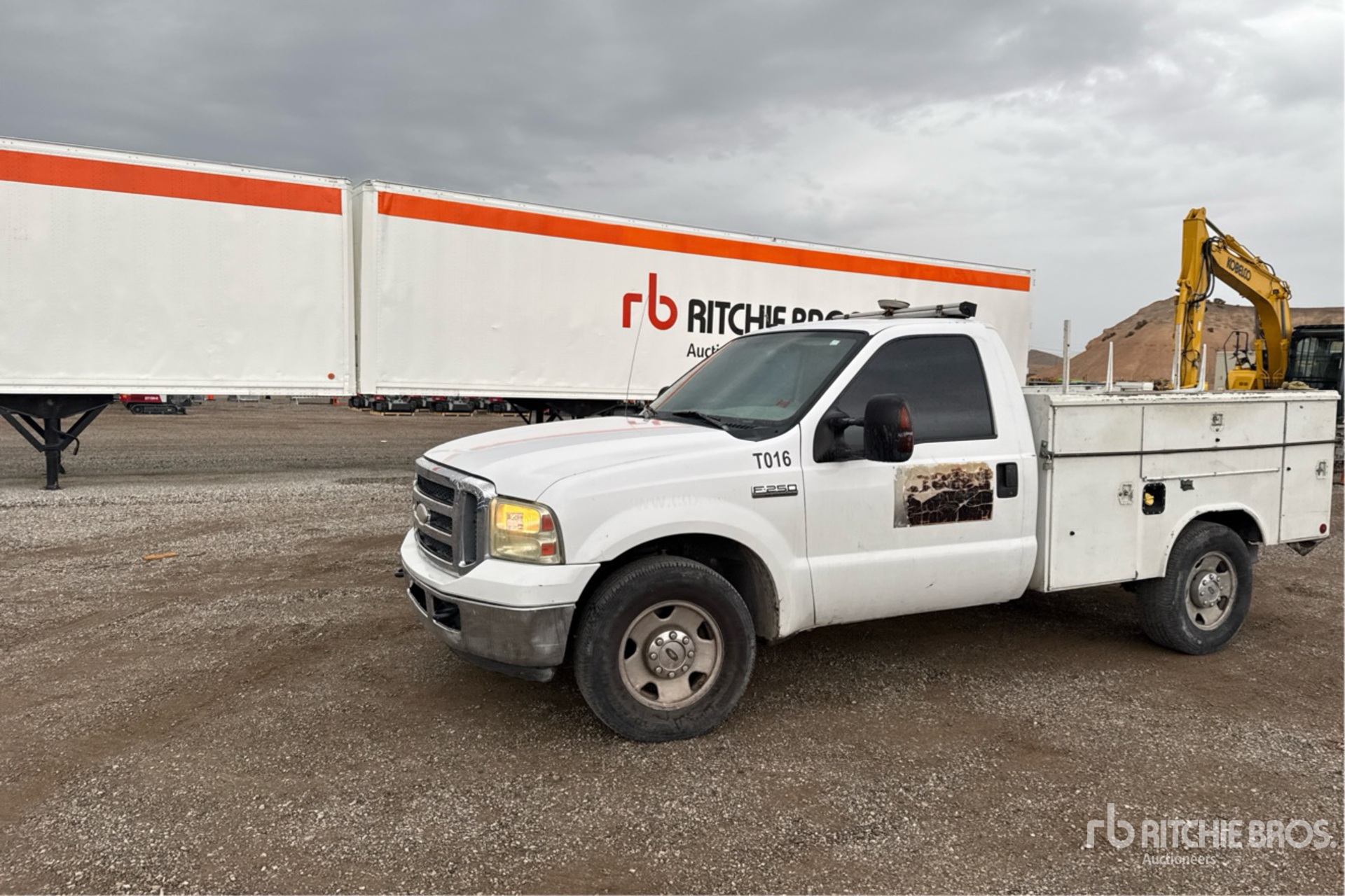 General Appearance with Spin