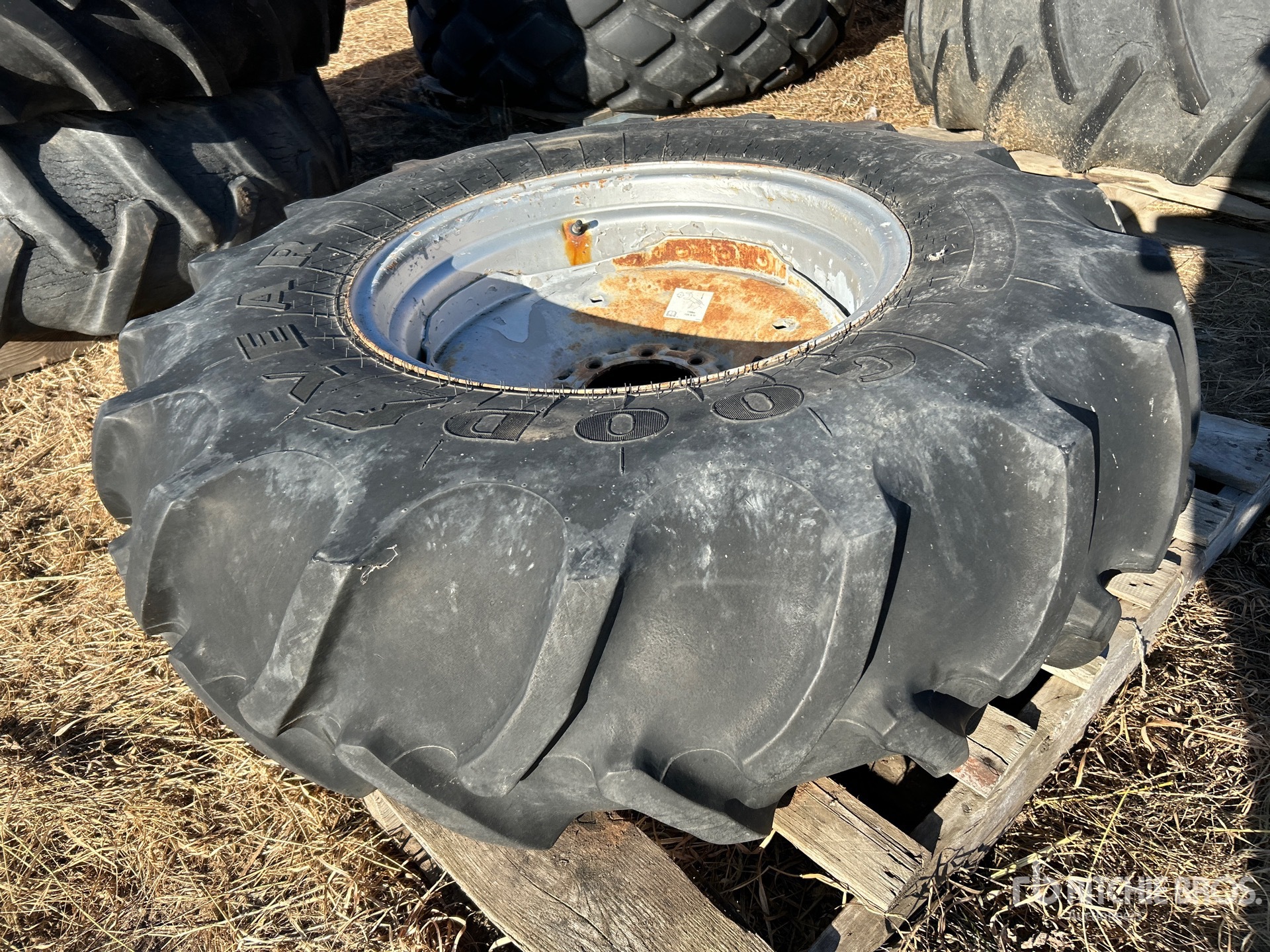 General Appearance with 