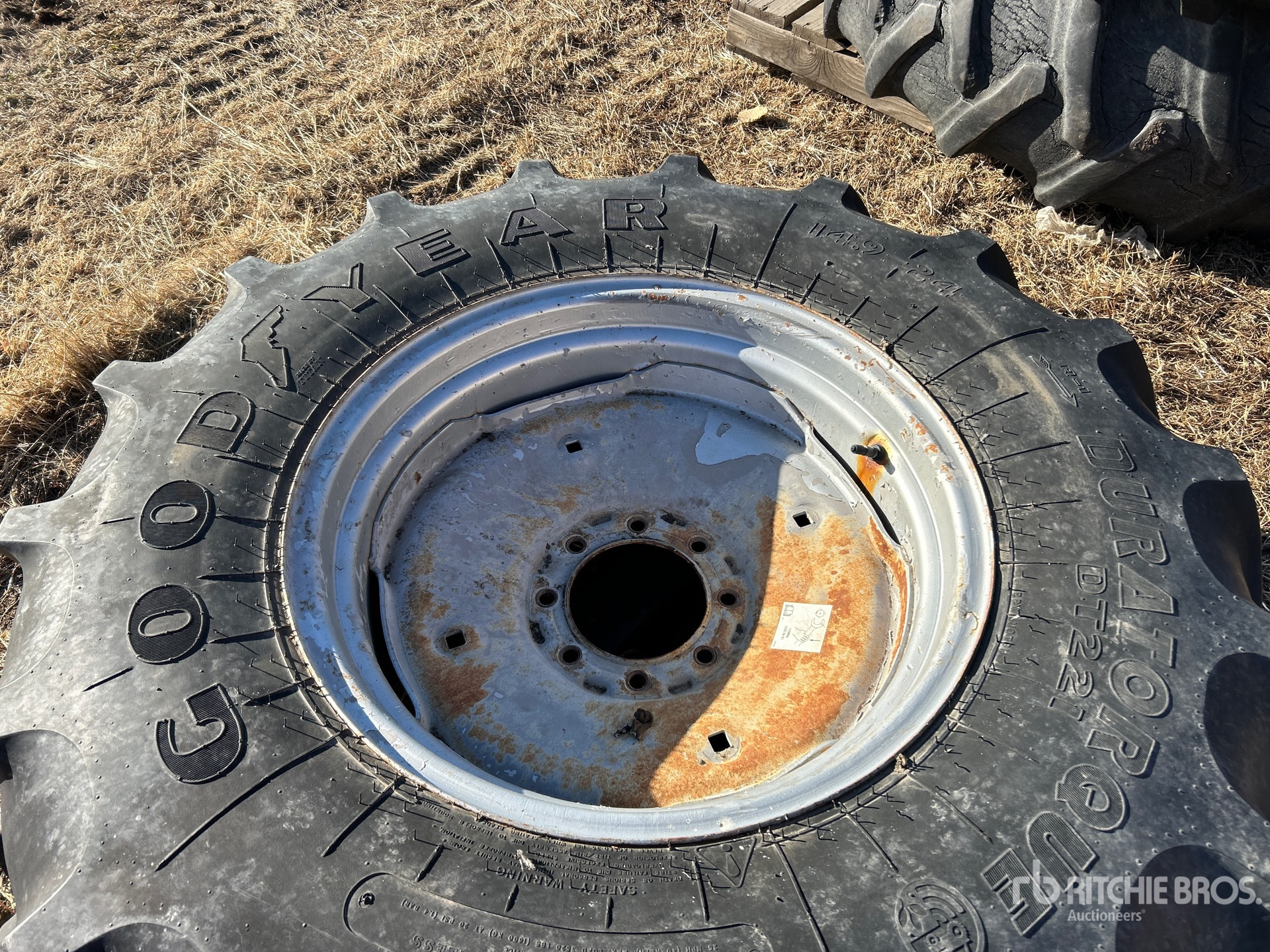 General Appearance with 