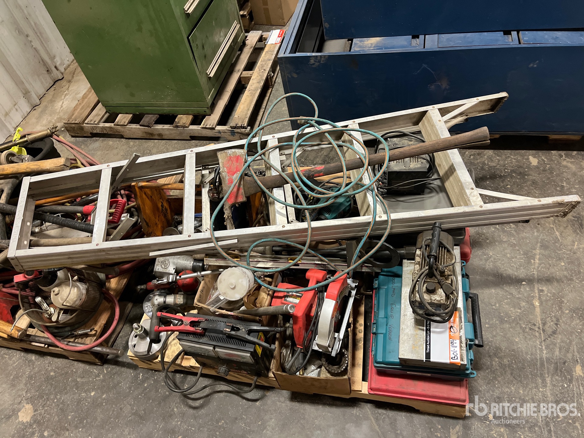 General Appearance with 