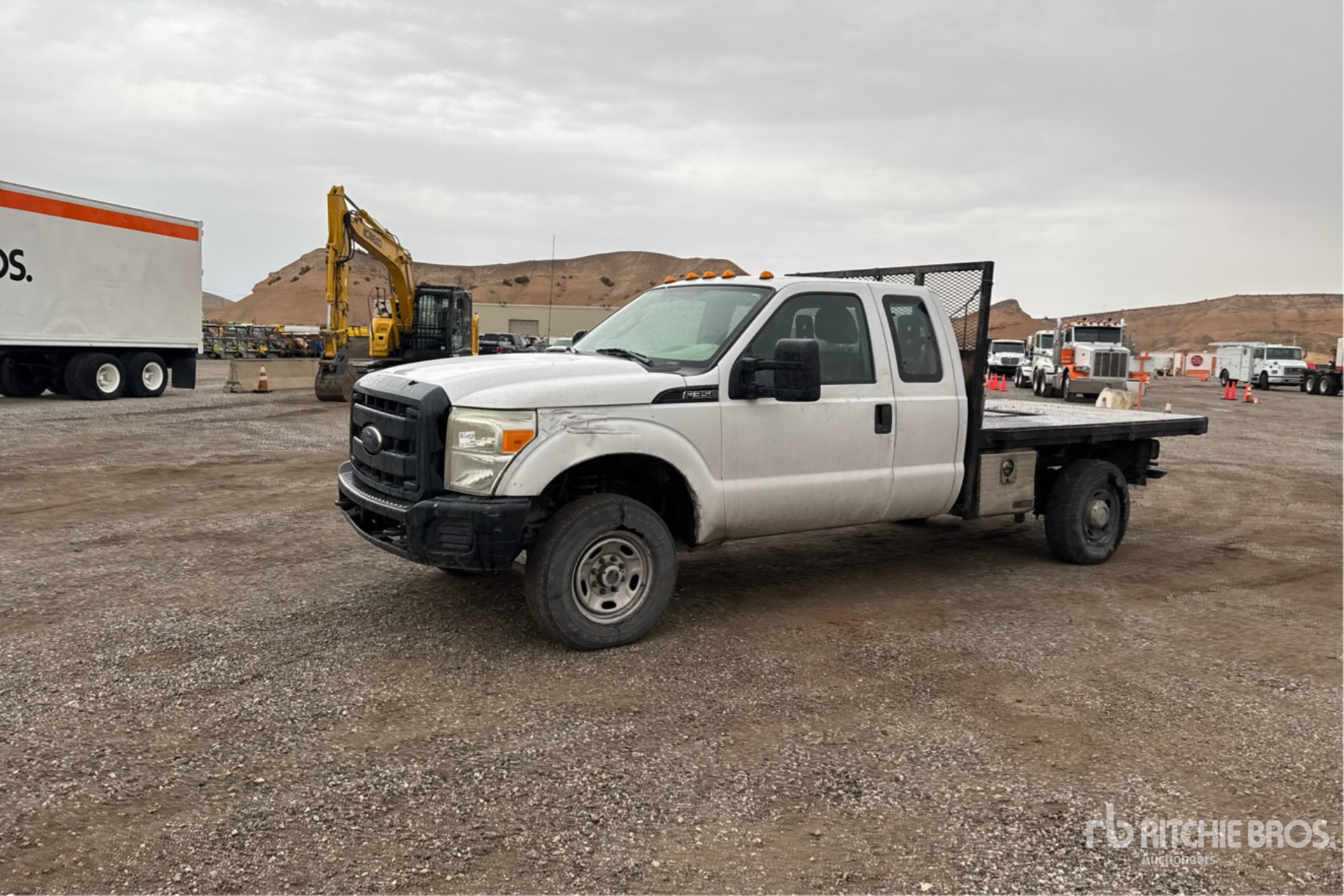 General Appearance with Spin