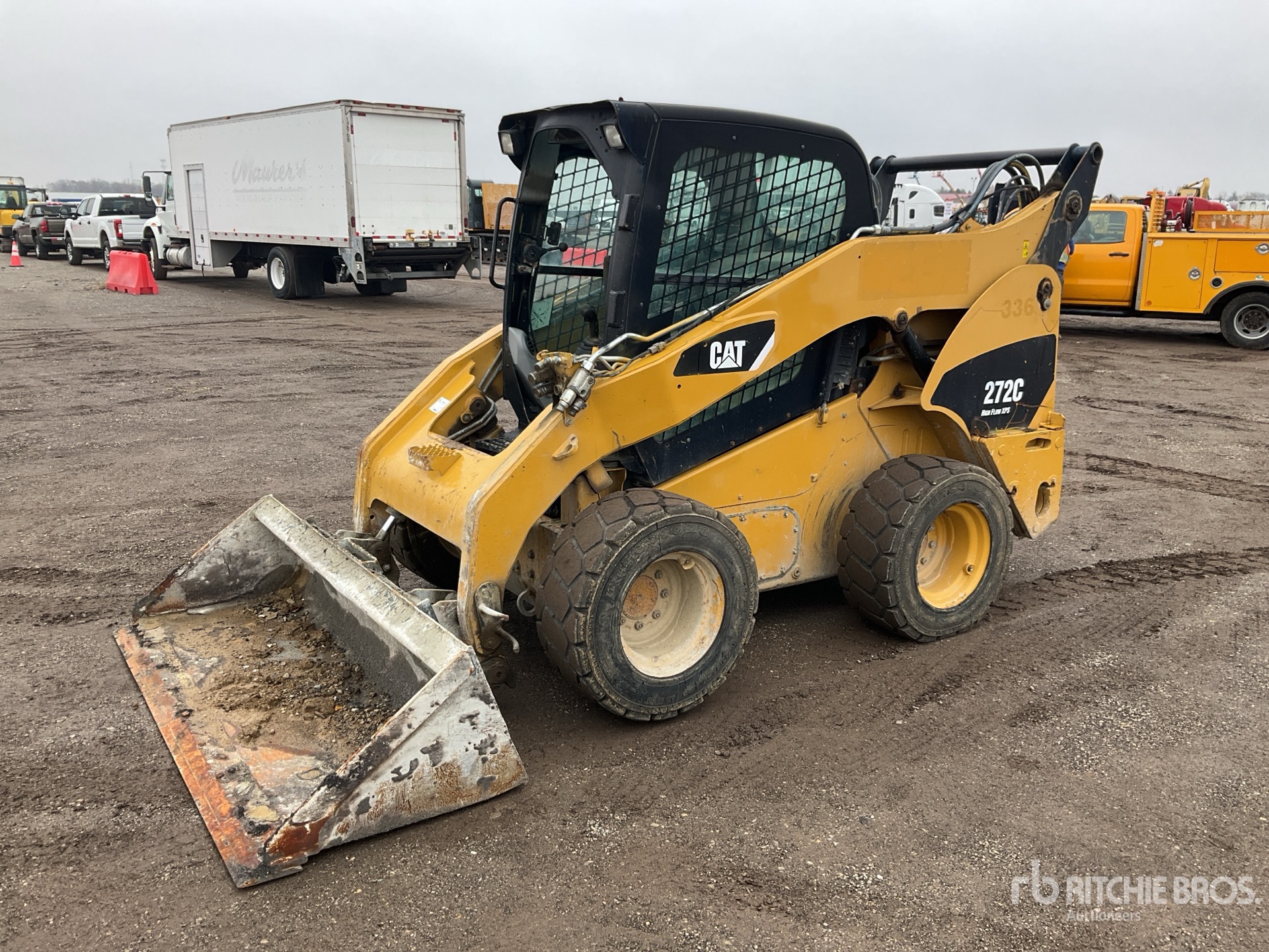 General Appearance with Spin