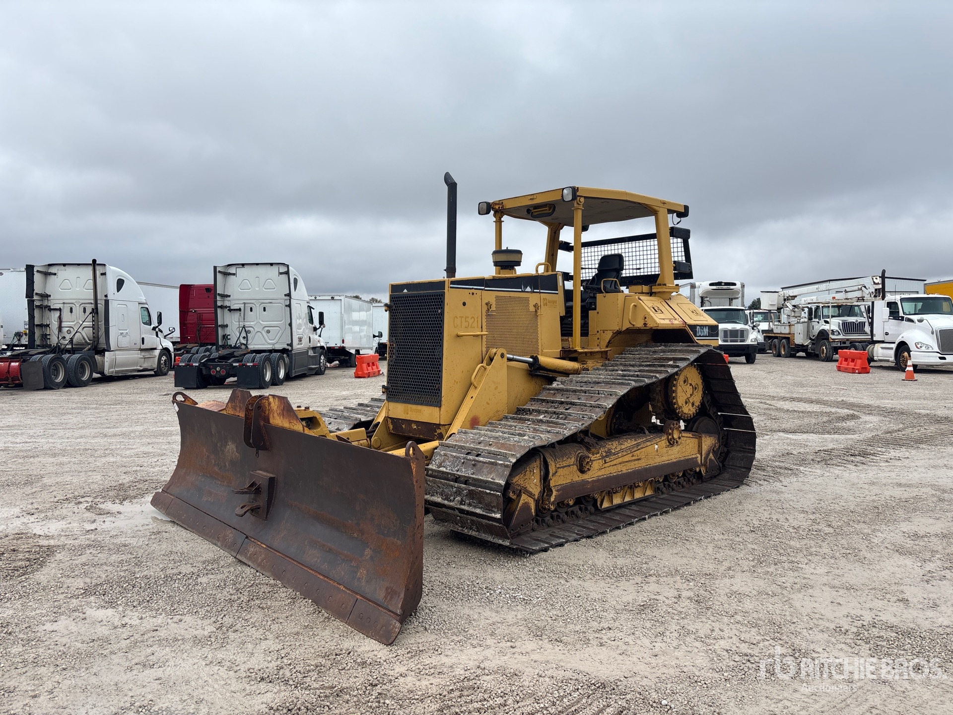 General Appearance with Spin