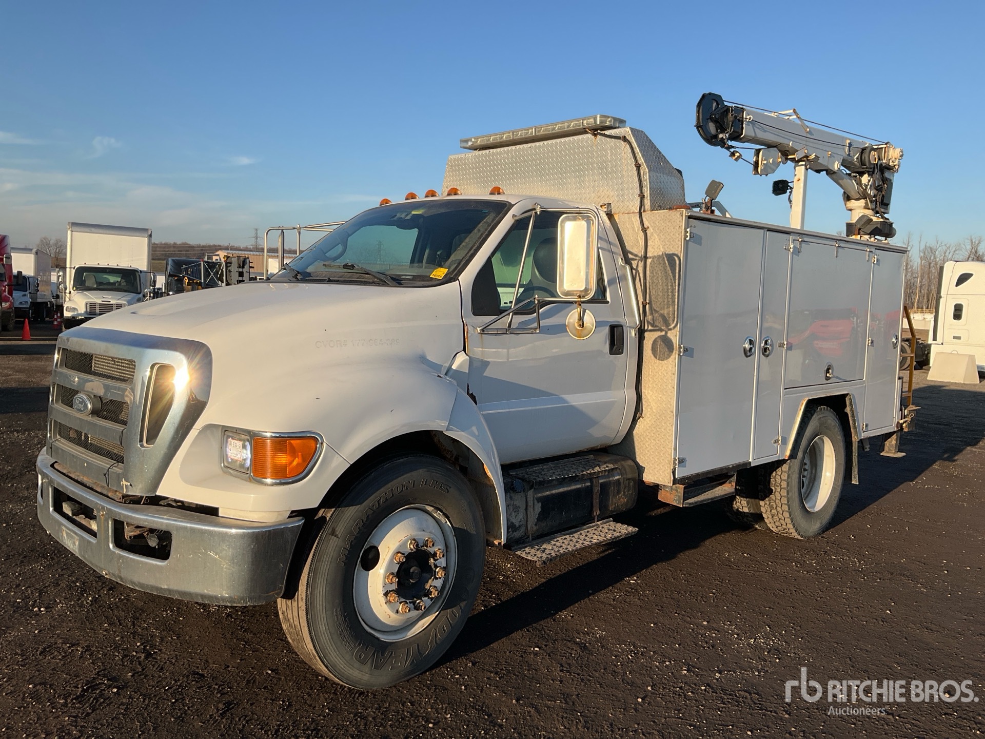 General Appearance with Spin