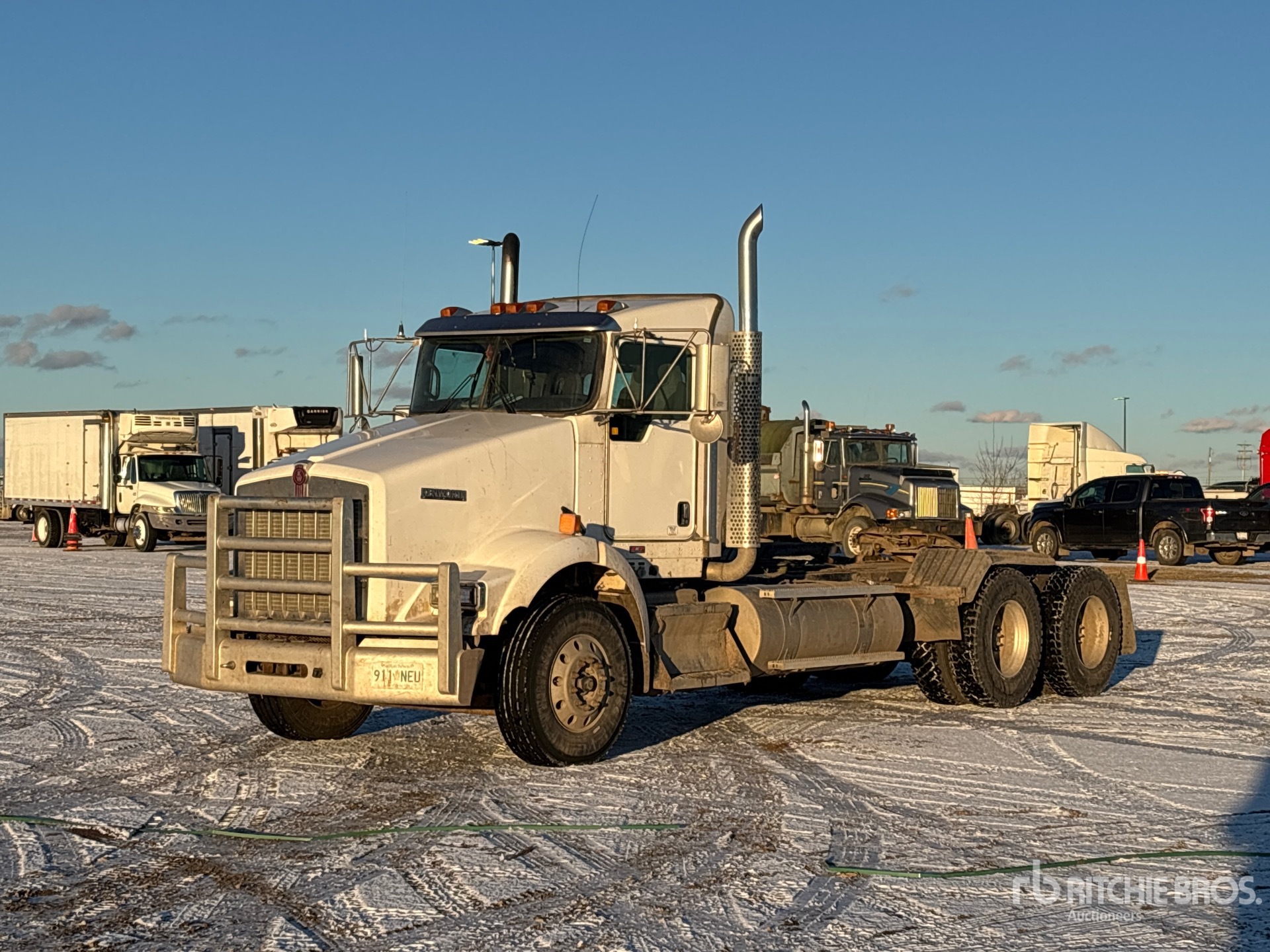 General Appearance with Spin