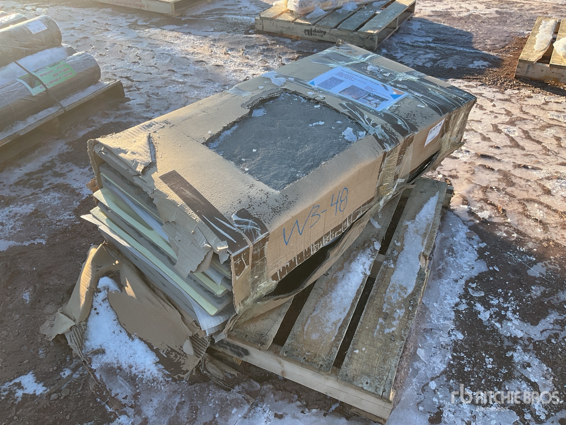 General Appearance with Picture, Right Front Corner