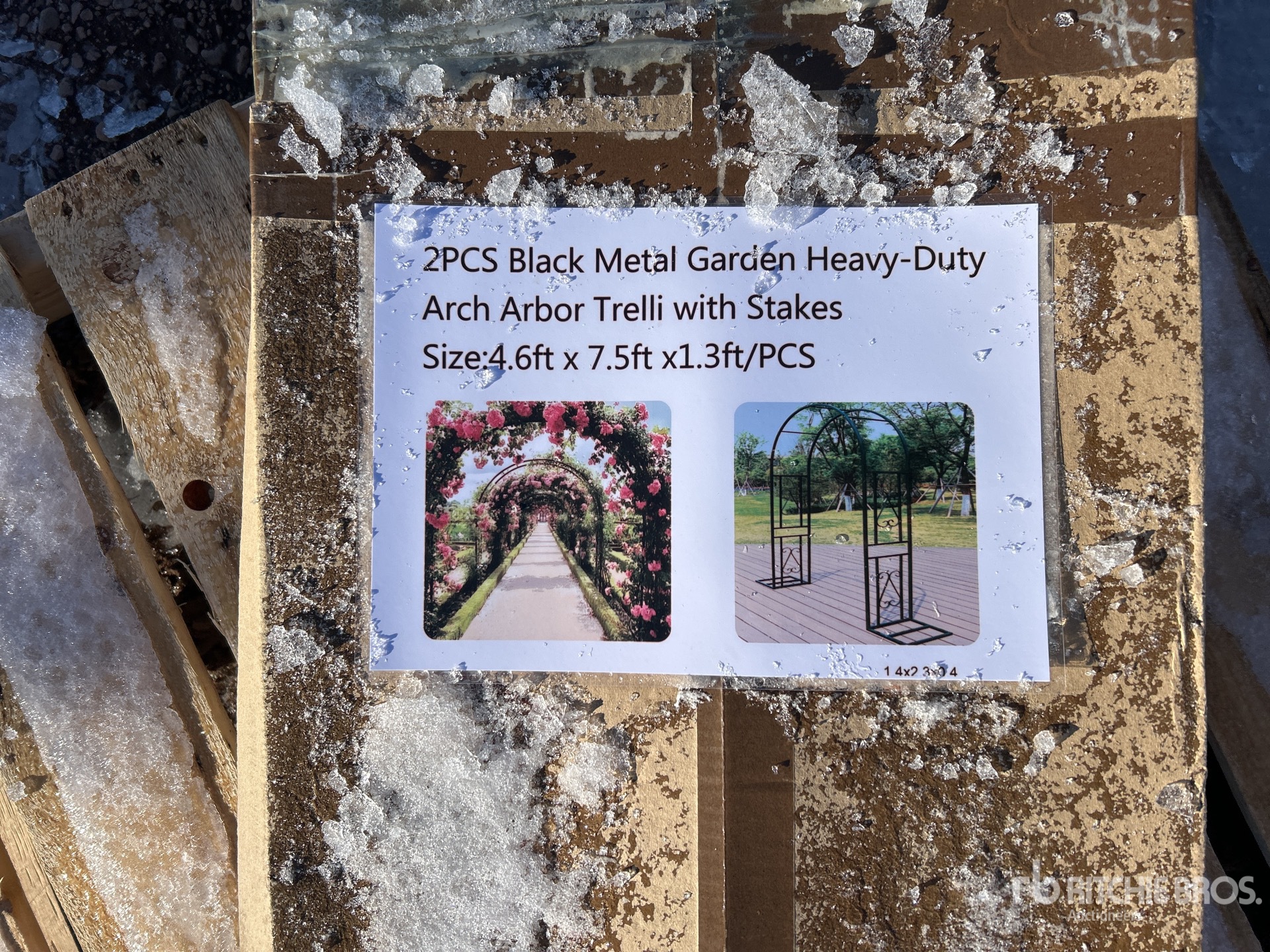 General Appearance with 