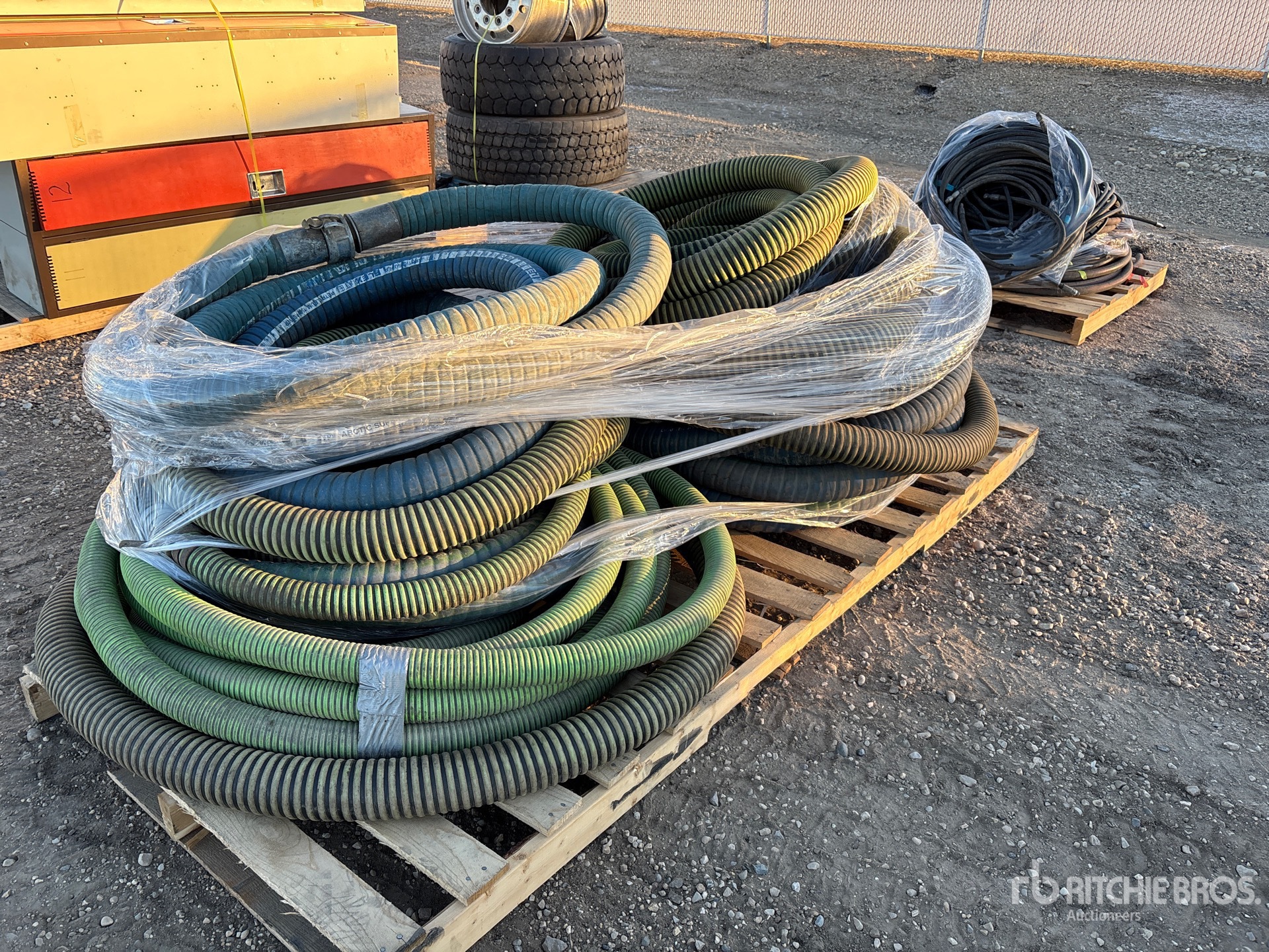 General Appearance with Bild, Ecke vorne links