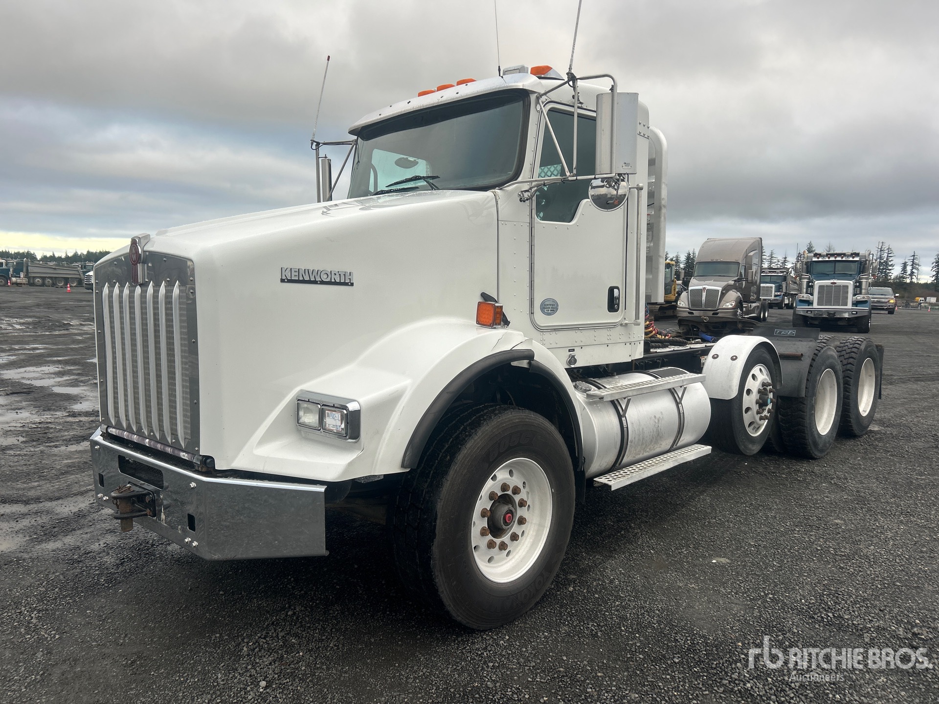 General Appearance with Spin