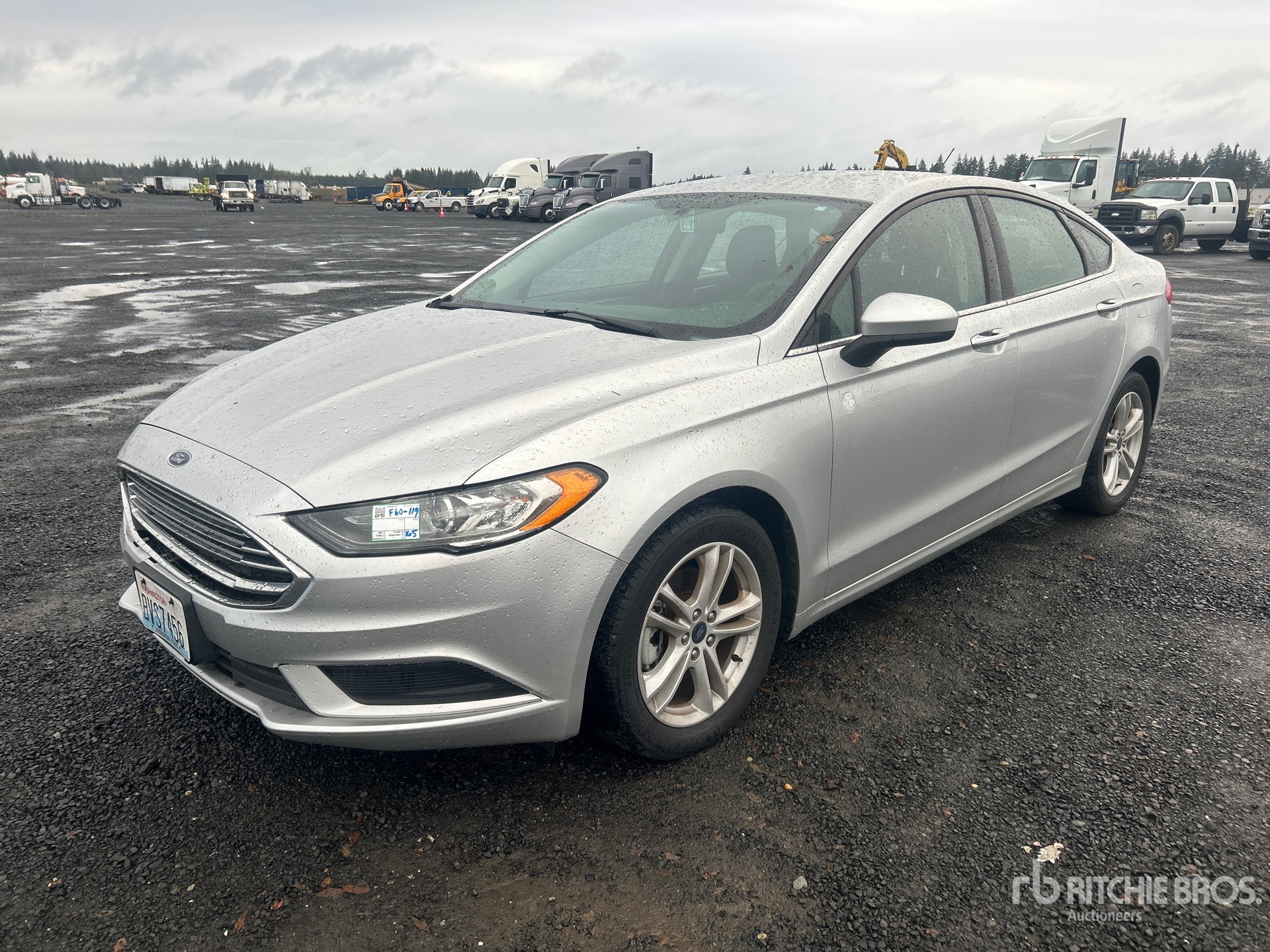 General Appearance with Spin