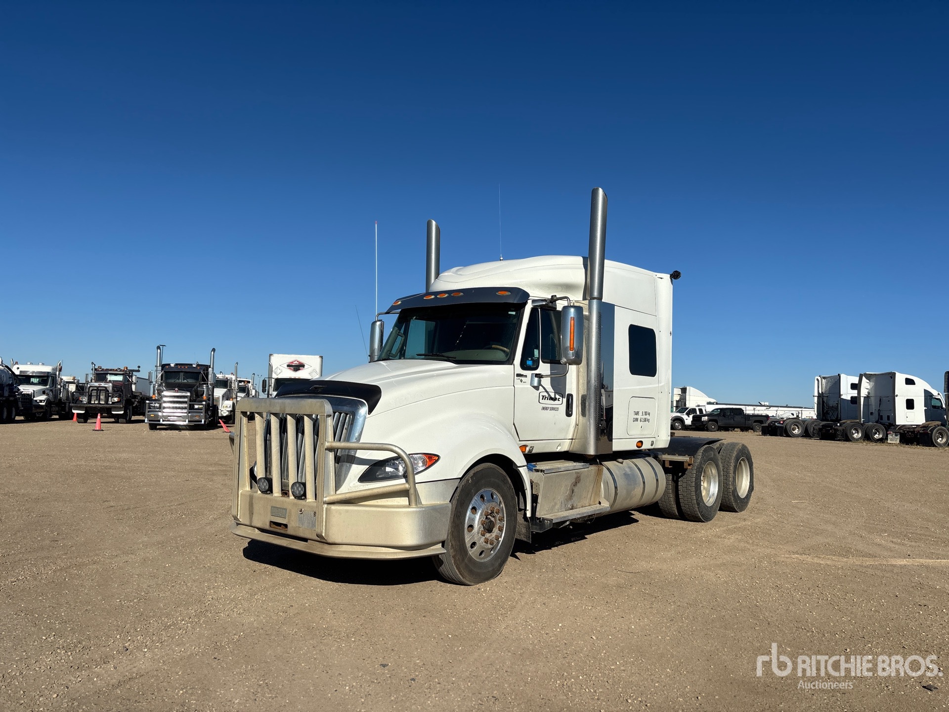 General Appearance with Spin