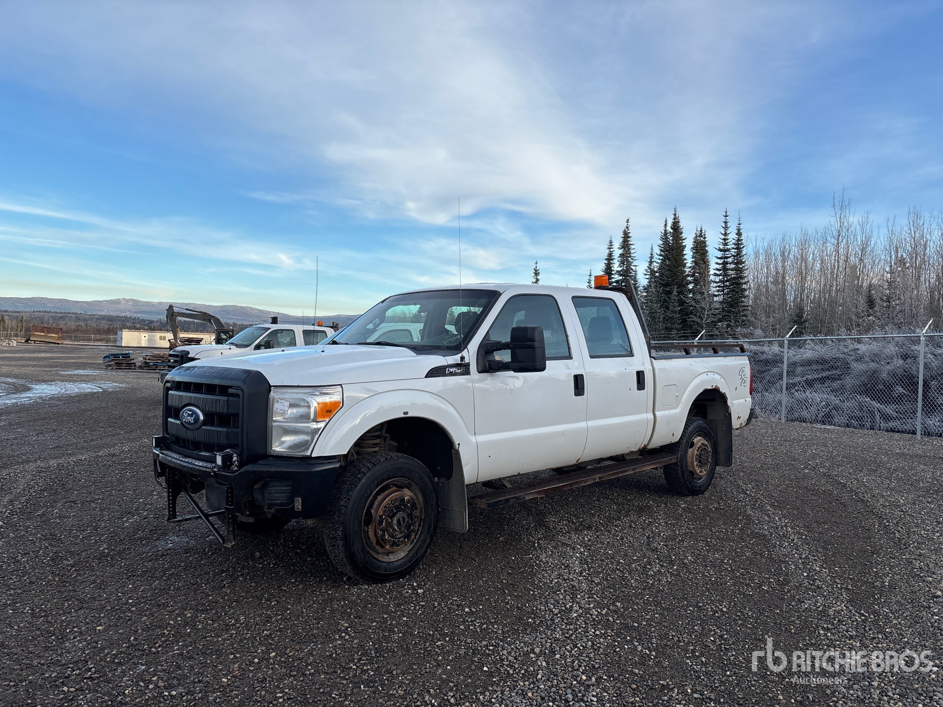 General Appearance with Spin