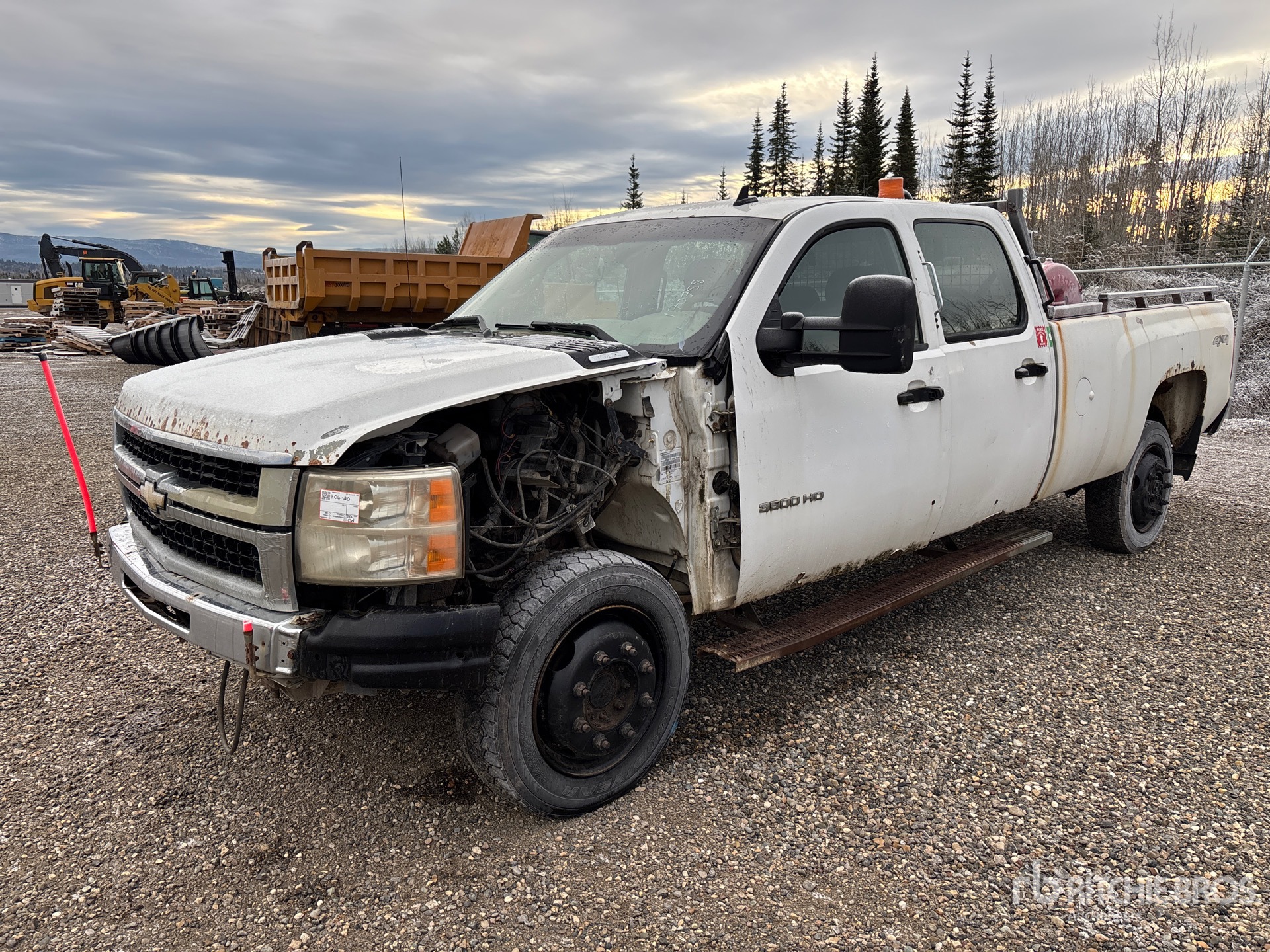 General Appearance with Spin