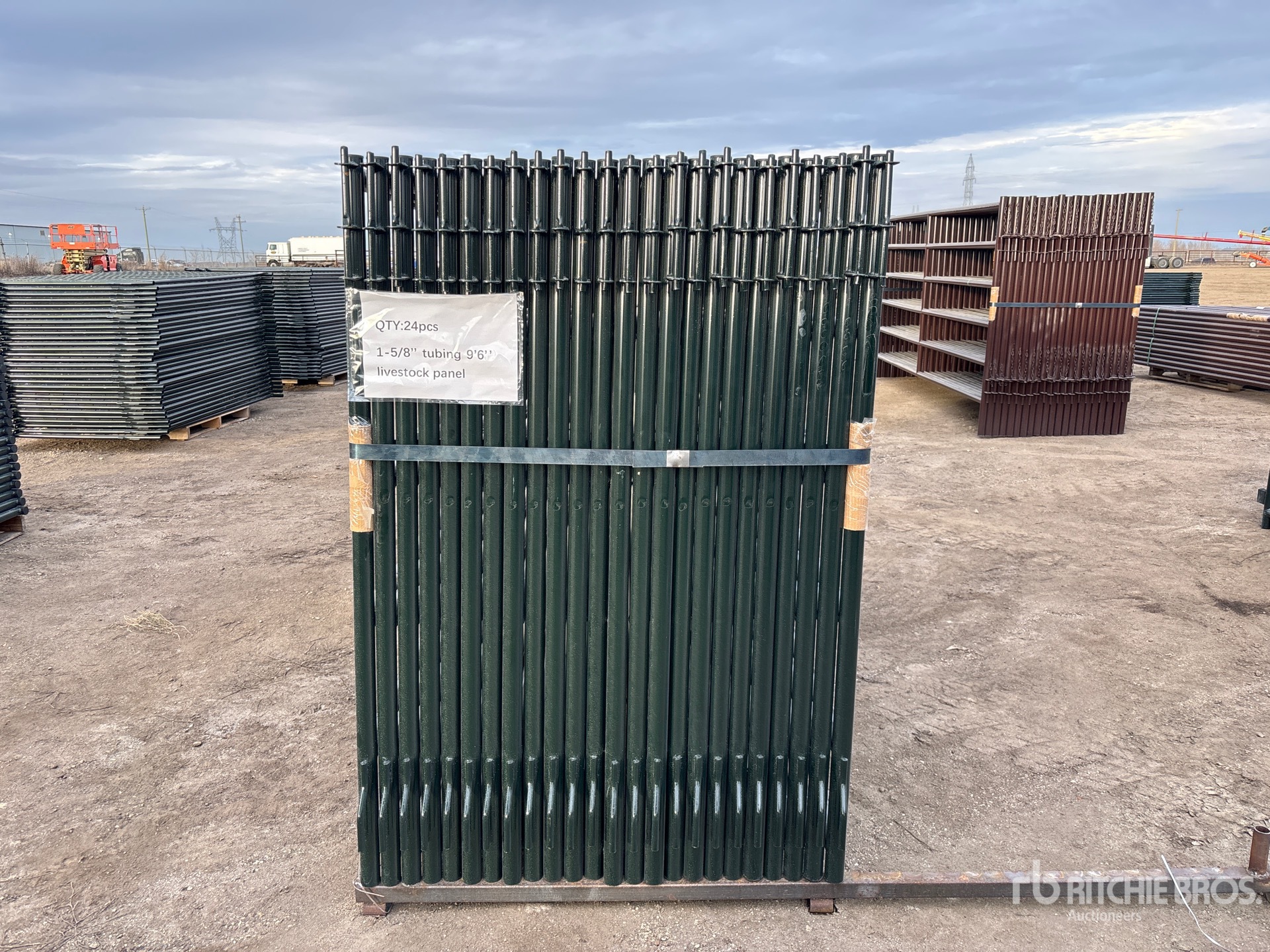 General Appearance with 