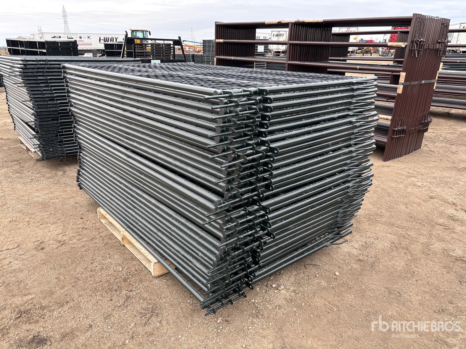 General Appearance with Foto, angolo anteriore sinistro