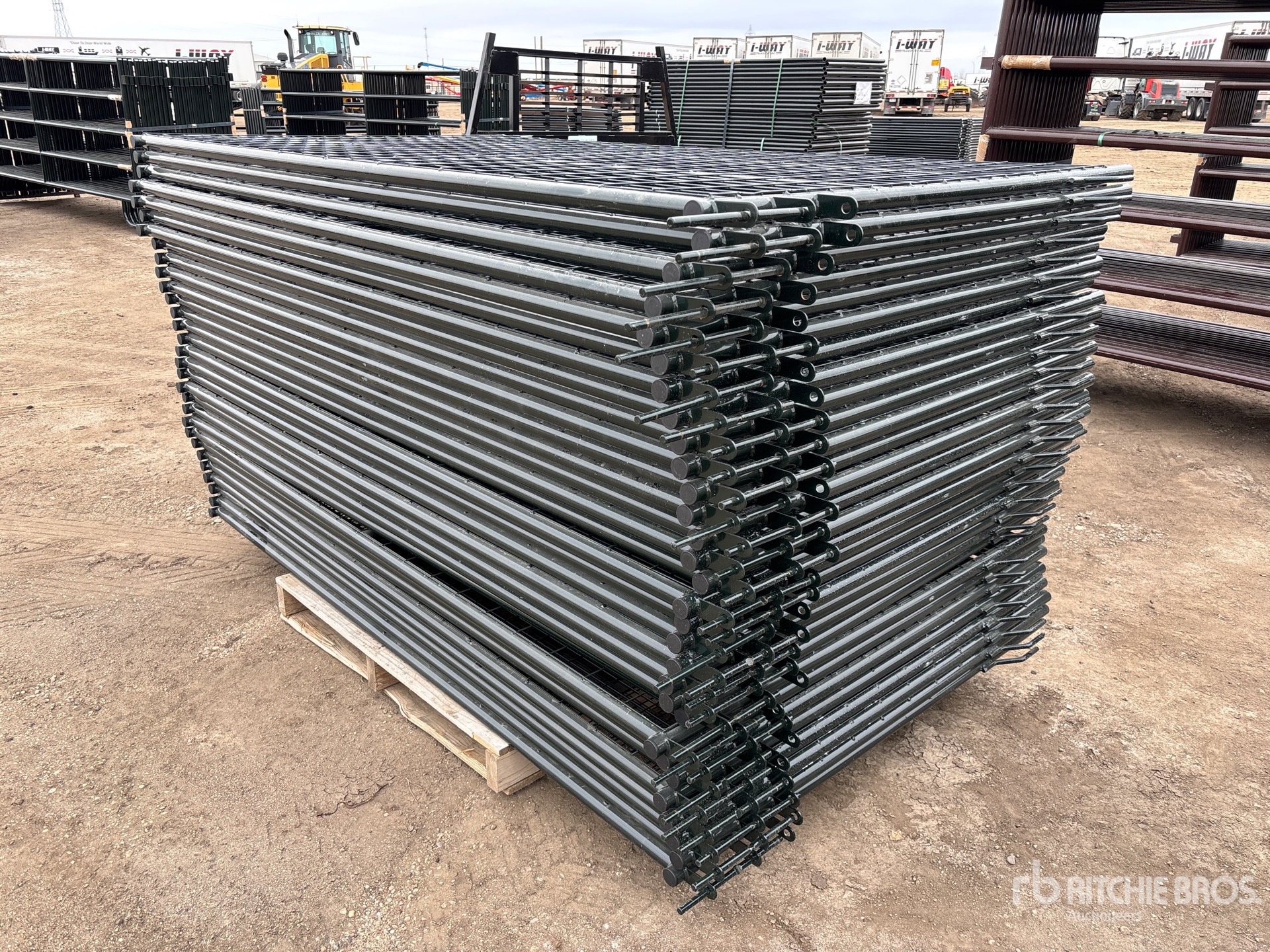 General Appearance with Foto, angolo anteriore sinistro