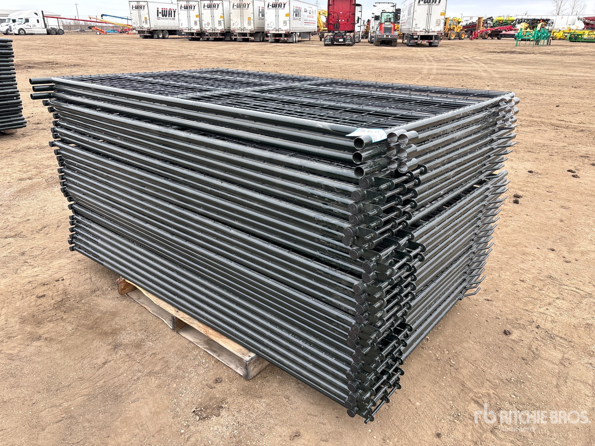 General Appearance with Foto, angolo anteriore sinistro