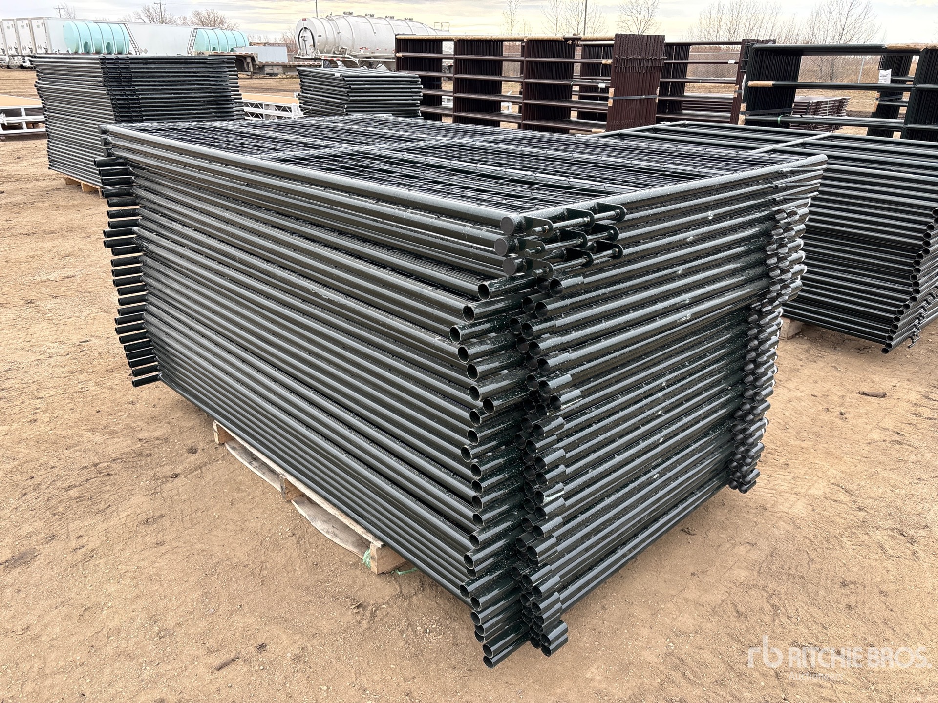 General Appearance with Foto, angolo anteriore sinistro