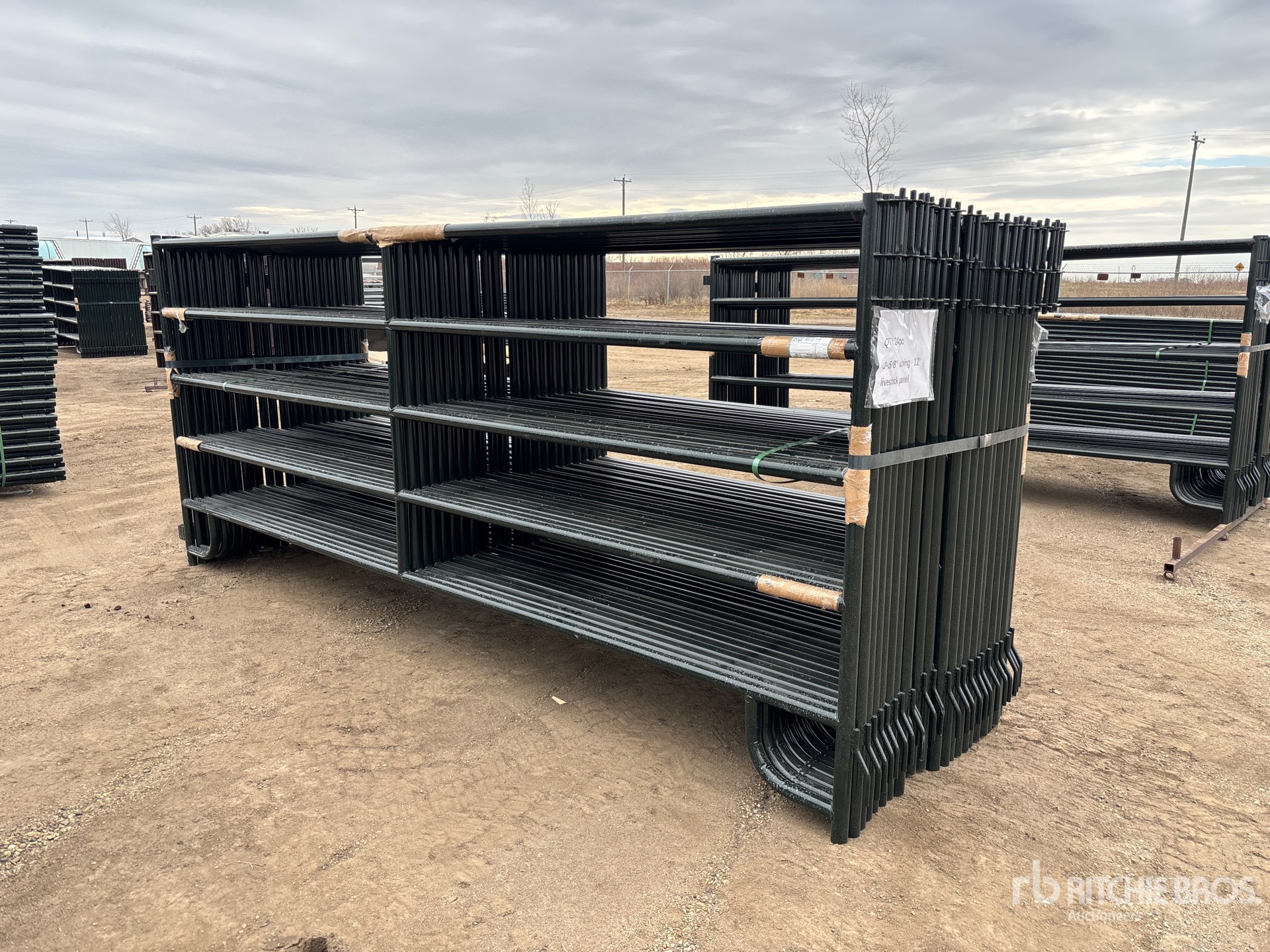 General Appearance with Foto, angolo anteriore sinistro