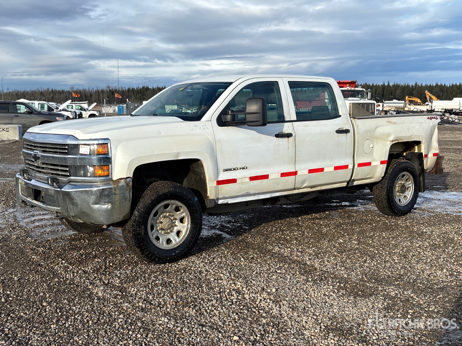 General Appearance with Spin