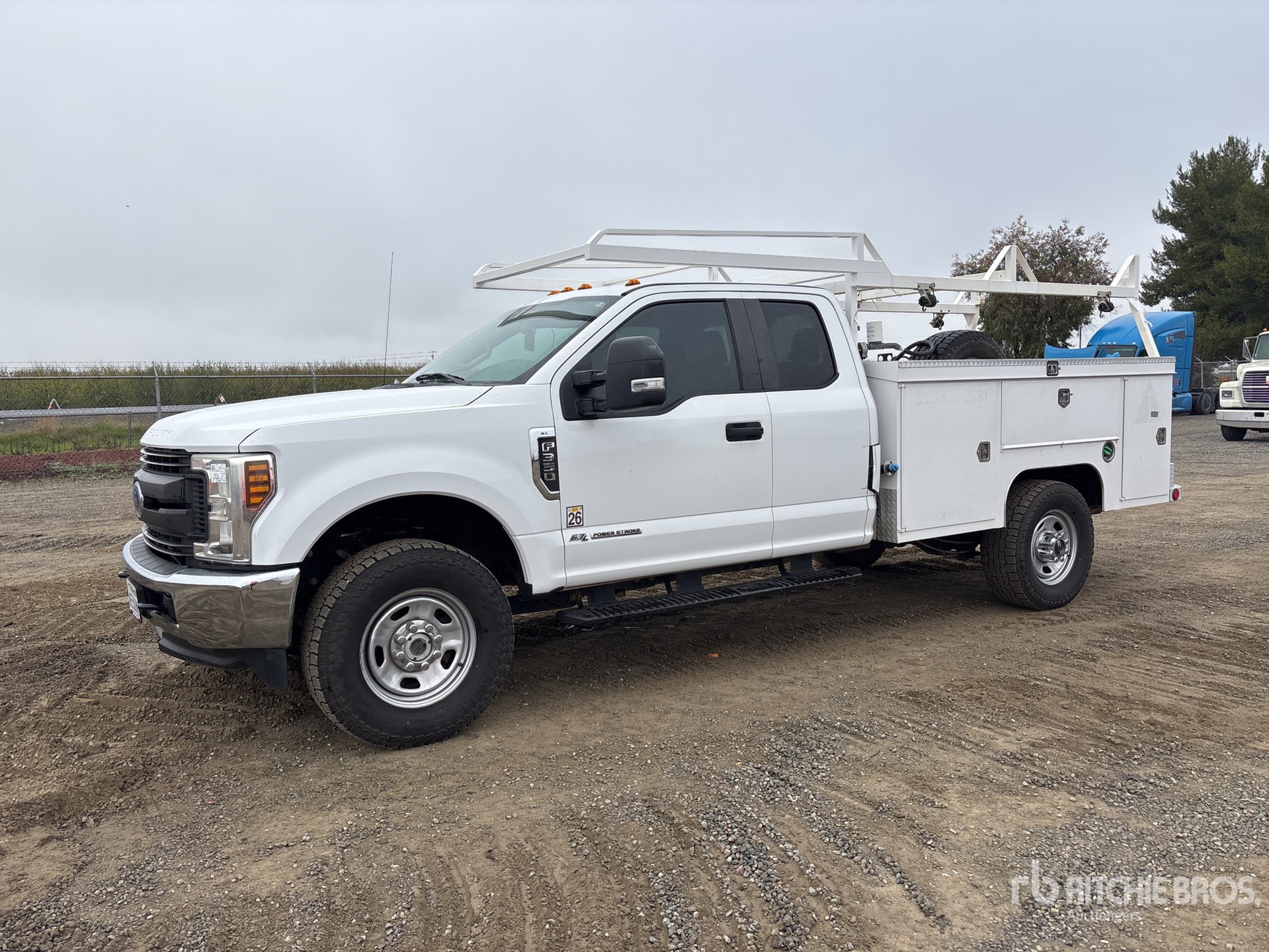 General Appearance with Zdjęcie, lewy górny róg