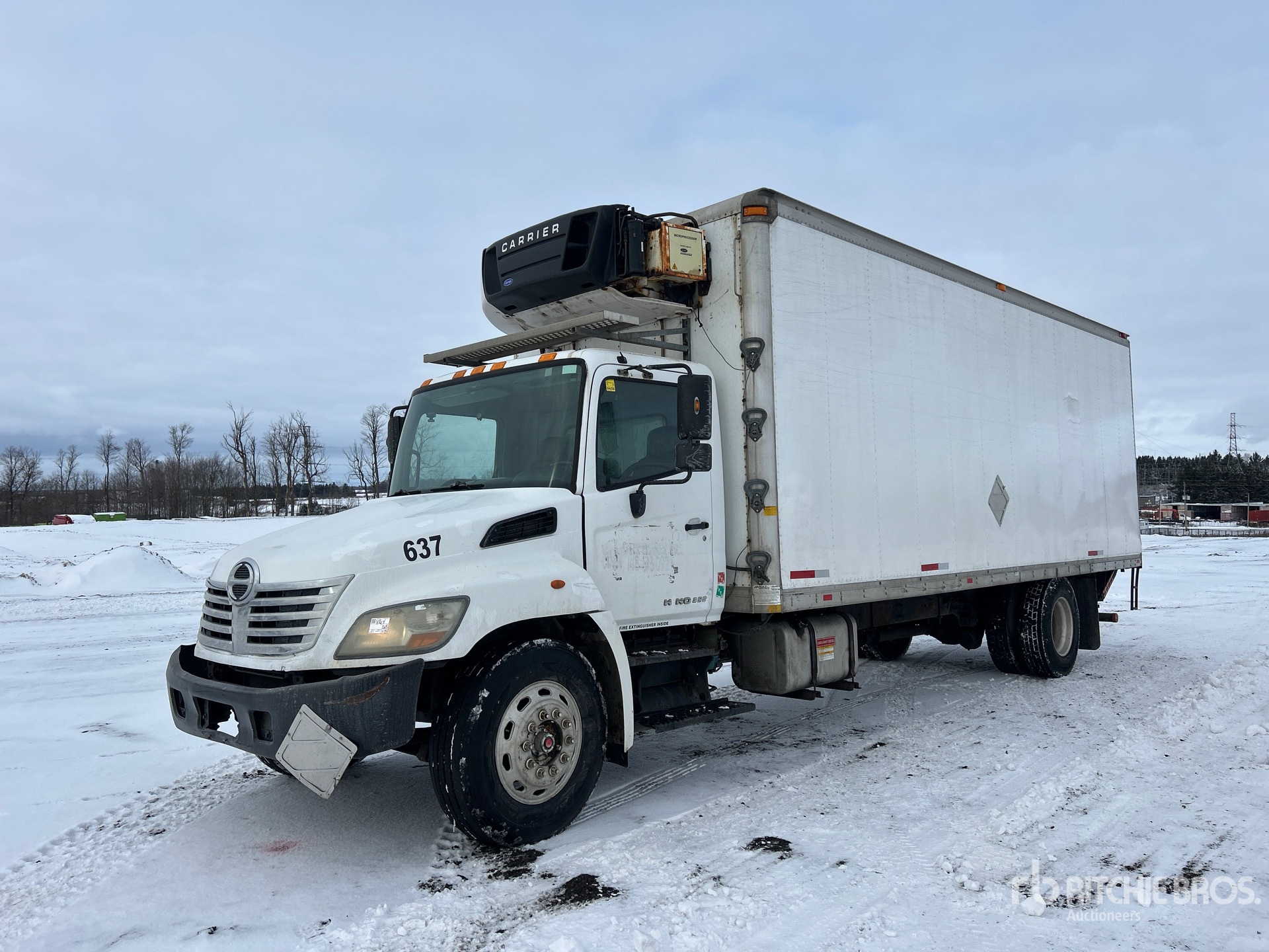 General Appearance with Spin