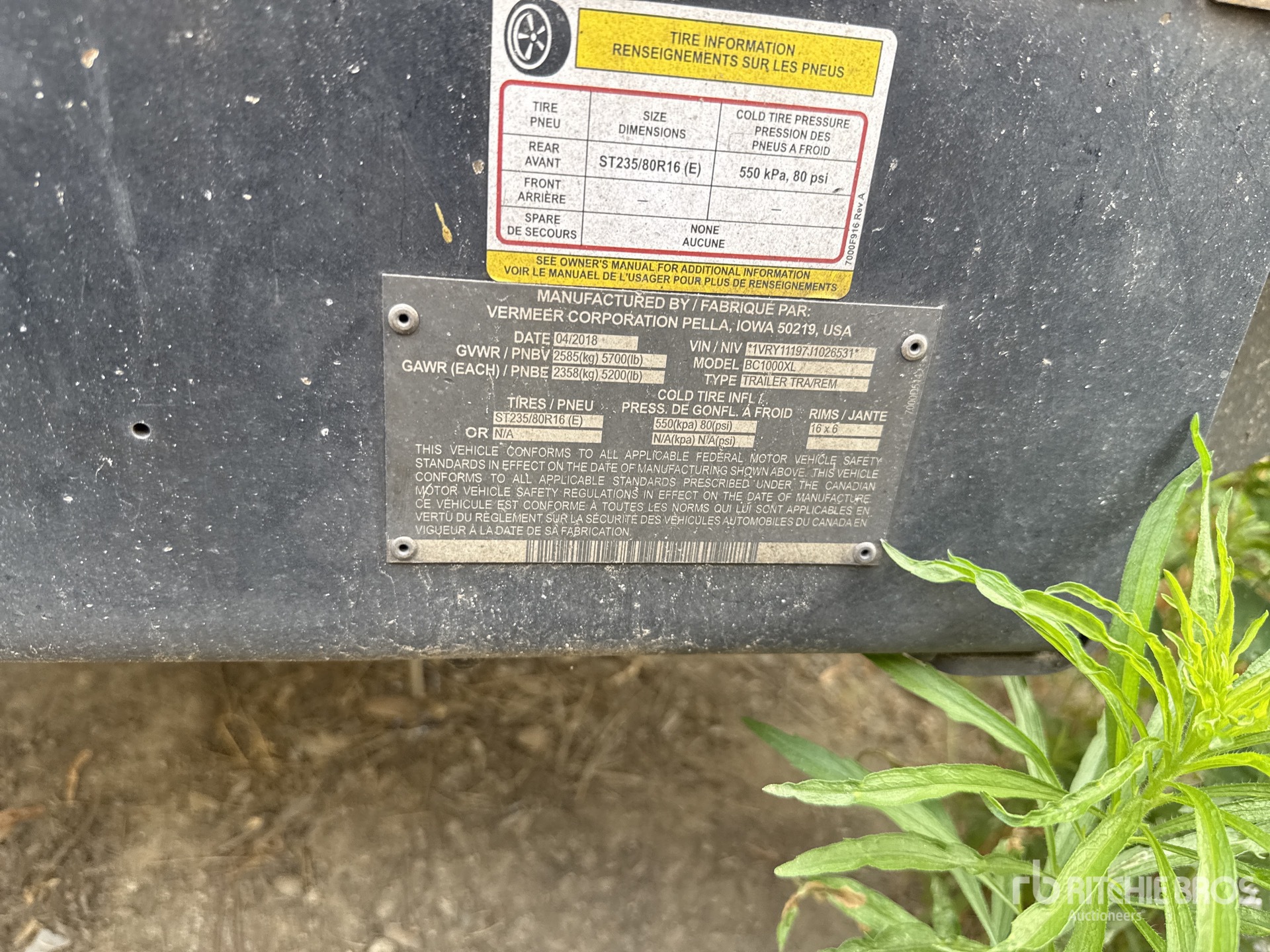 General Appearance with 