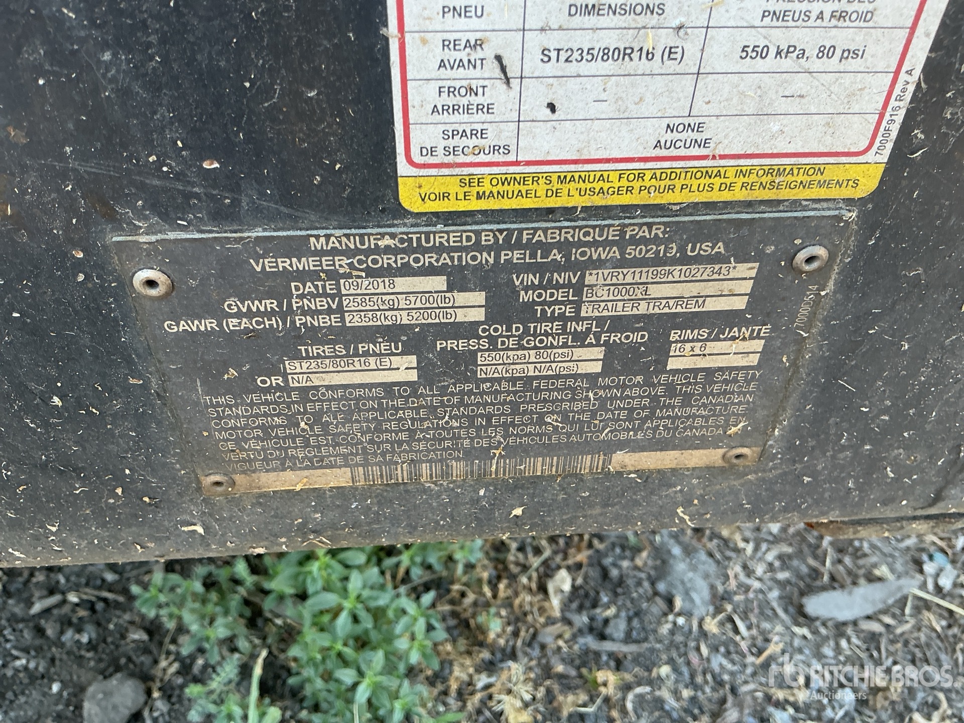 General Appearance with 