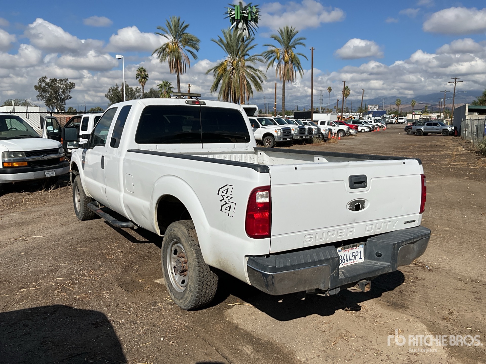 General Appearance with 